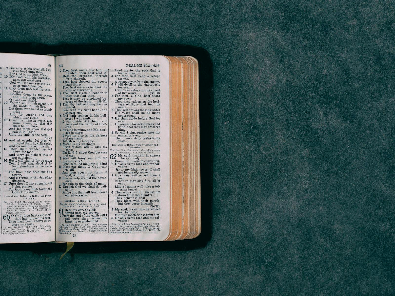Open Pocket Bible On Green Surface jigsaw puzzle preview