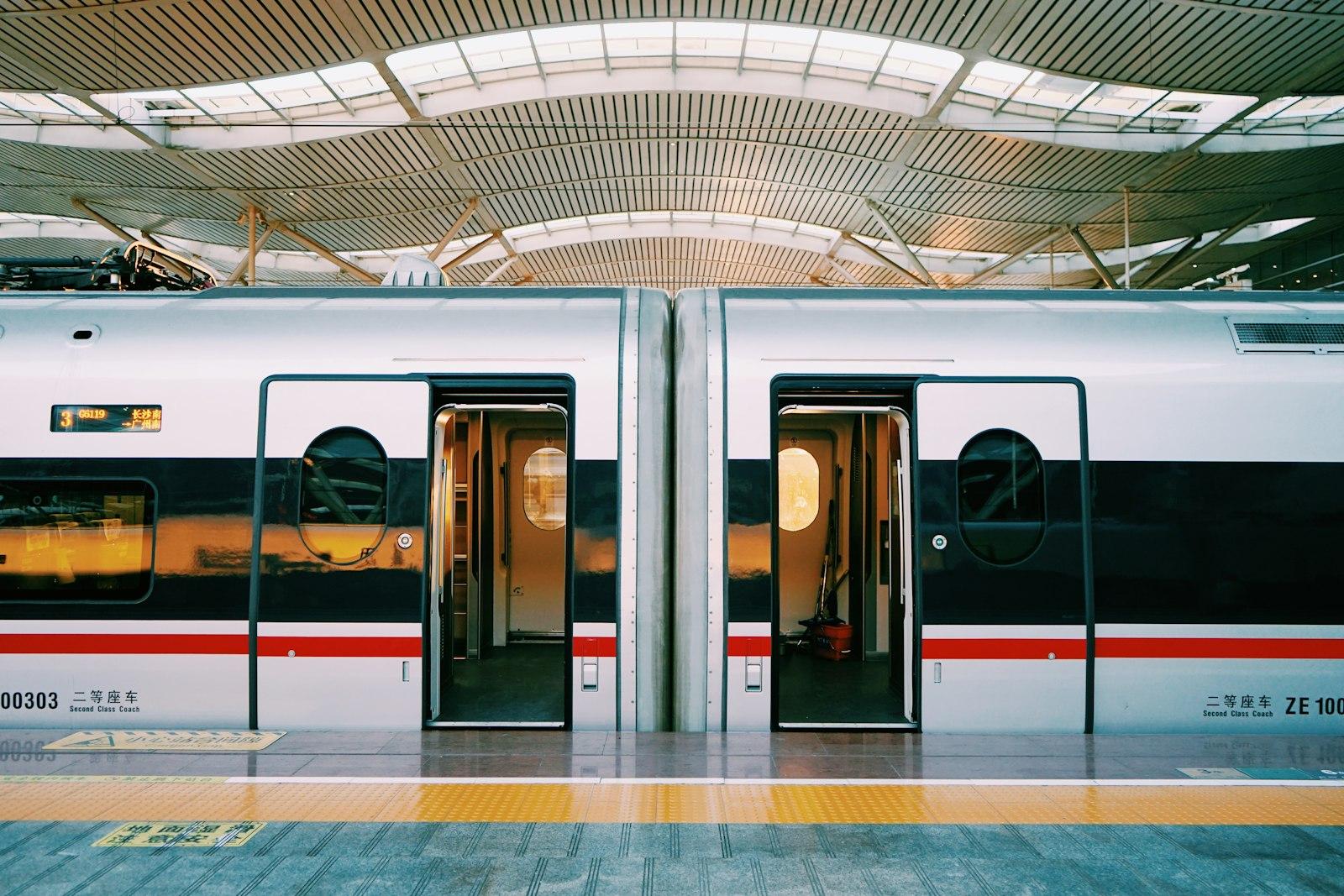 Opened-Door Train jigsaw puzzle preview