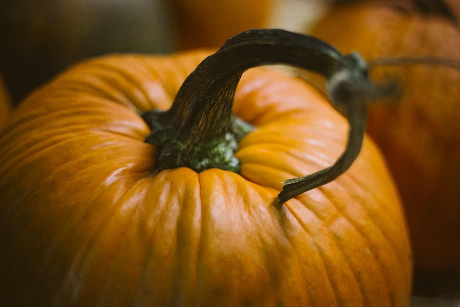 Orange Pumpkin jigsaw puzzle preview