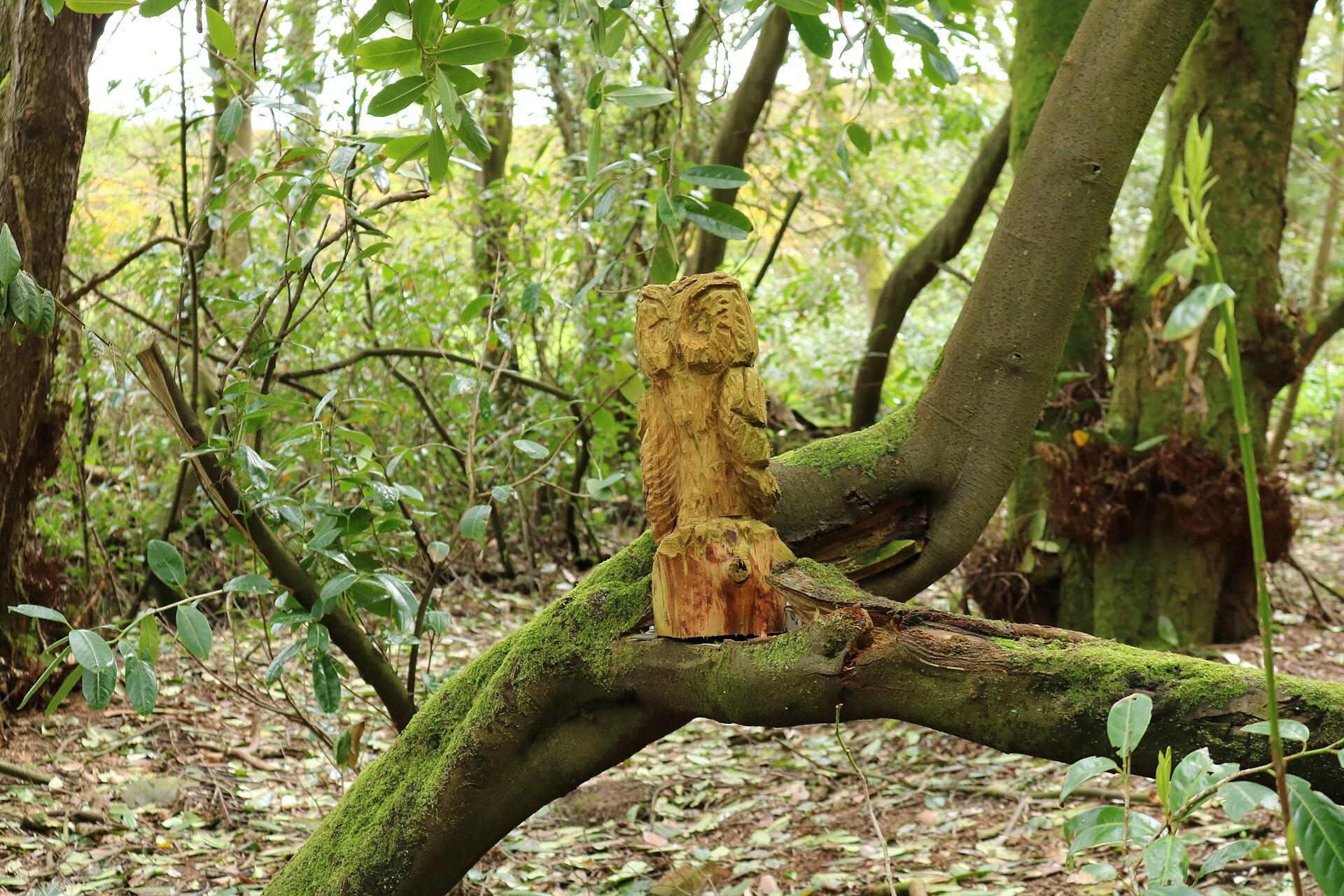 Owl on a Branch jigsaw puzzle preview