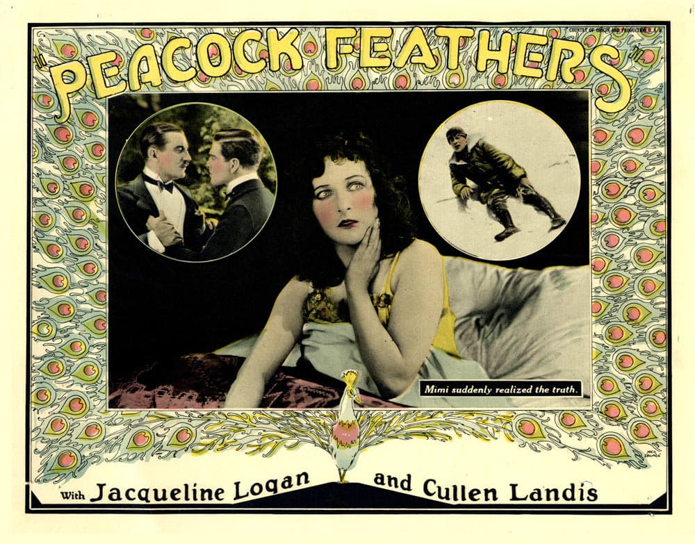 Peacock Feathers jigsaw puzzle preview