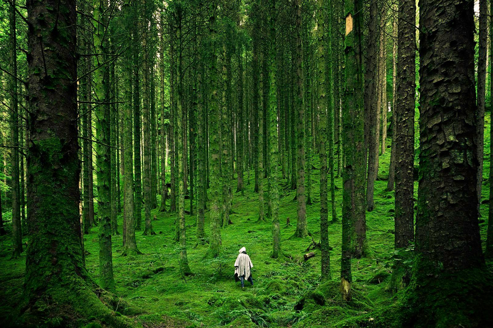Person In jigsaw puzzle preview