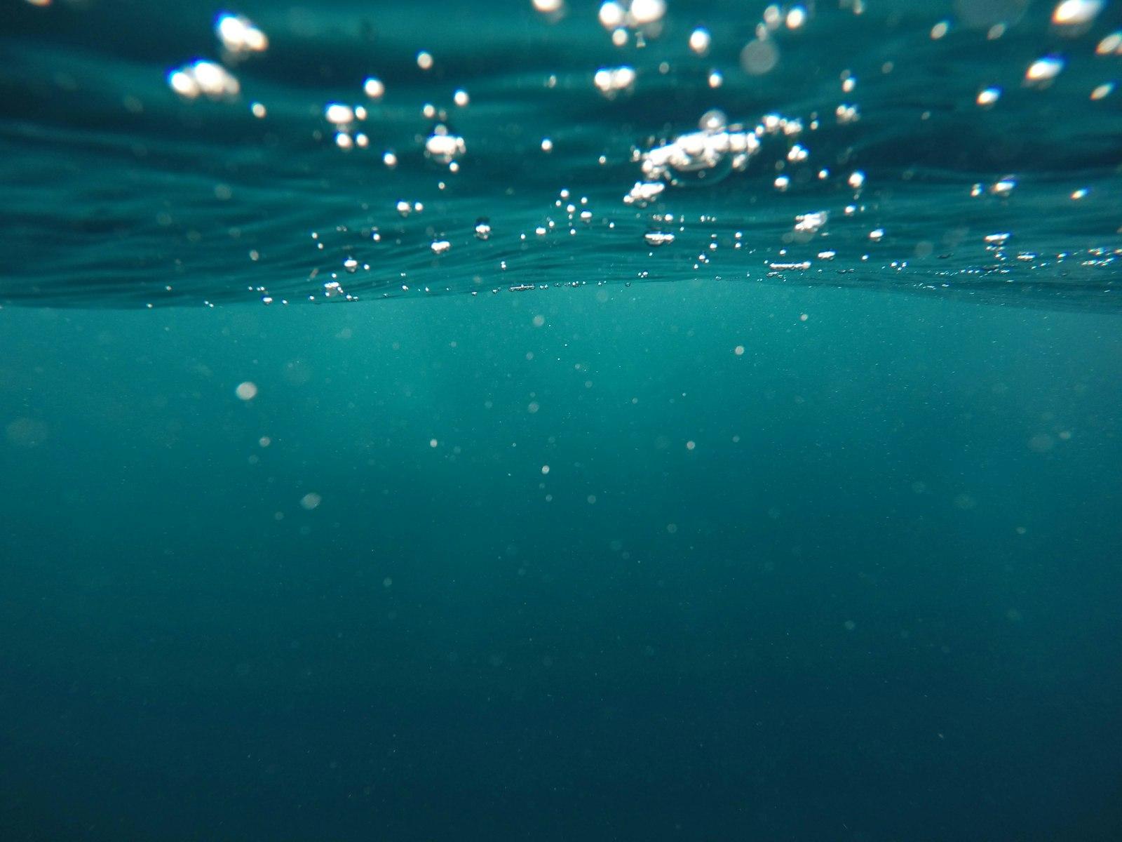 Photo Of Underwater jigsaw puzzle preview