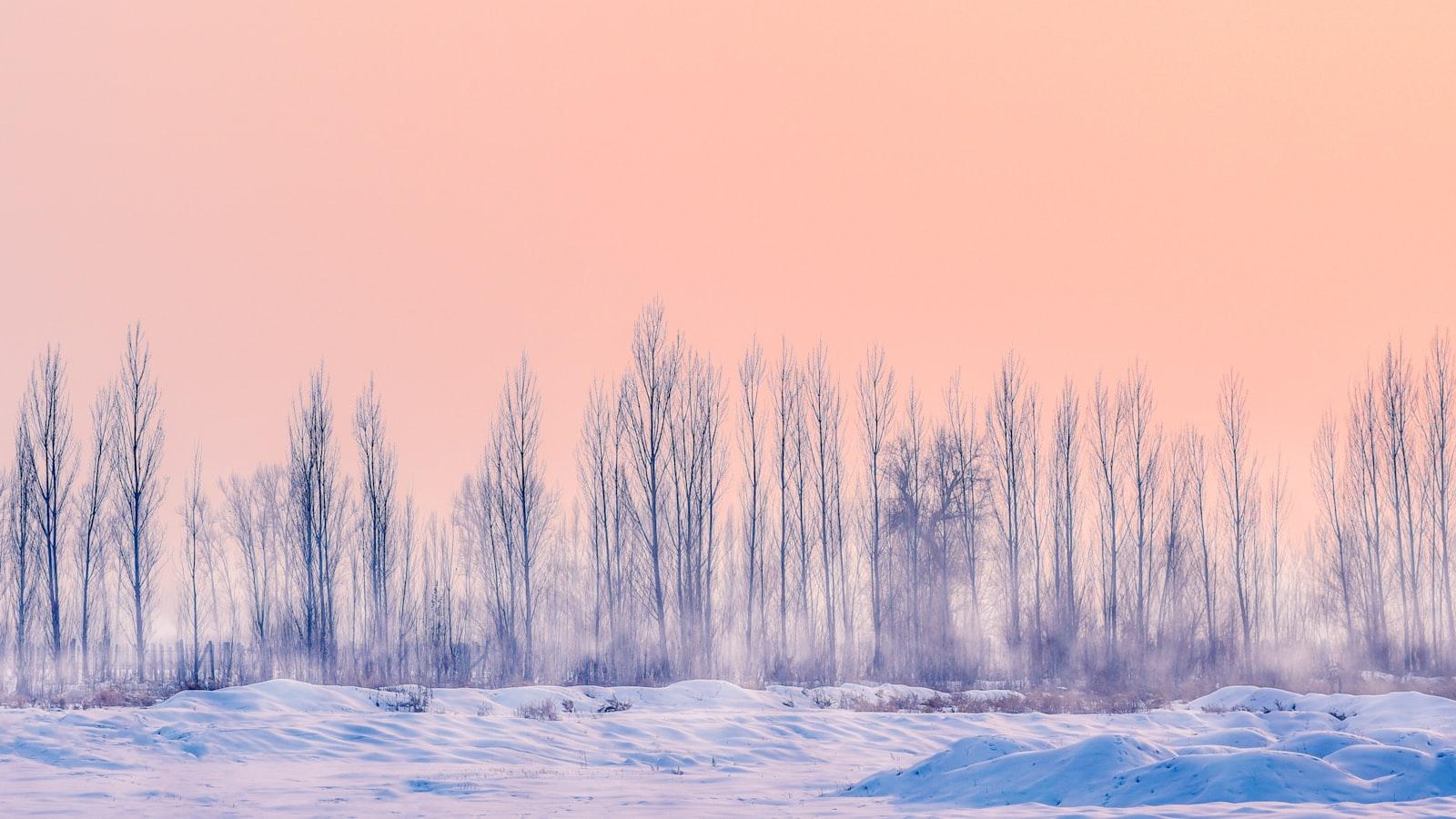 Pink Afternoon jigsaw puzzle preview