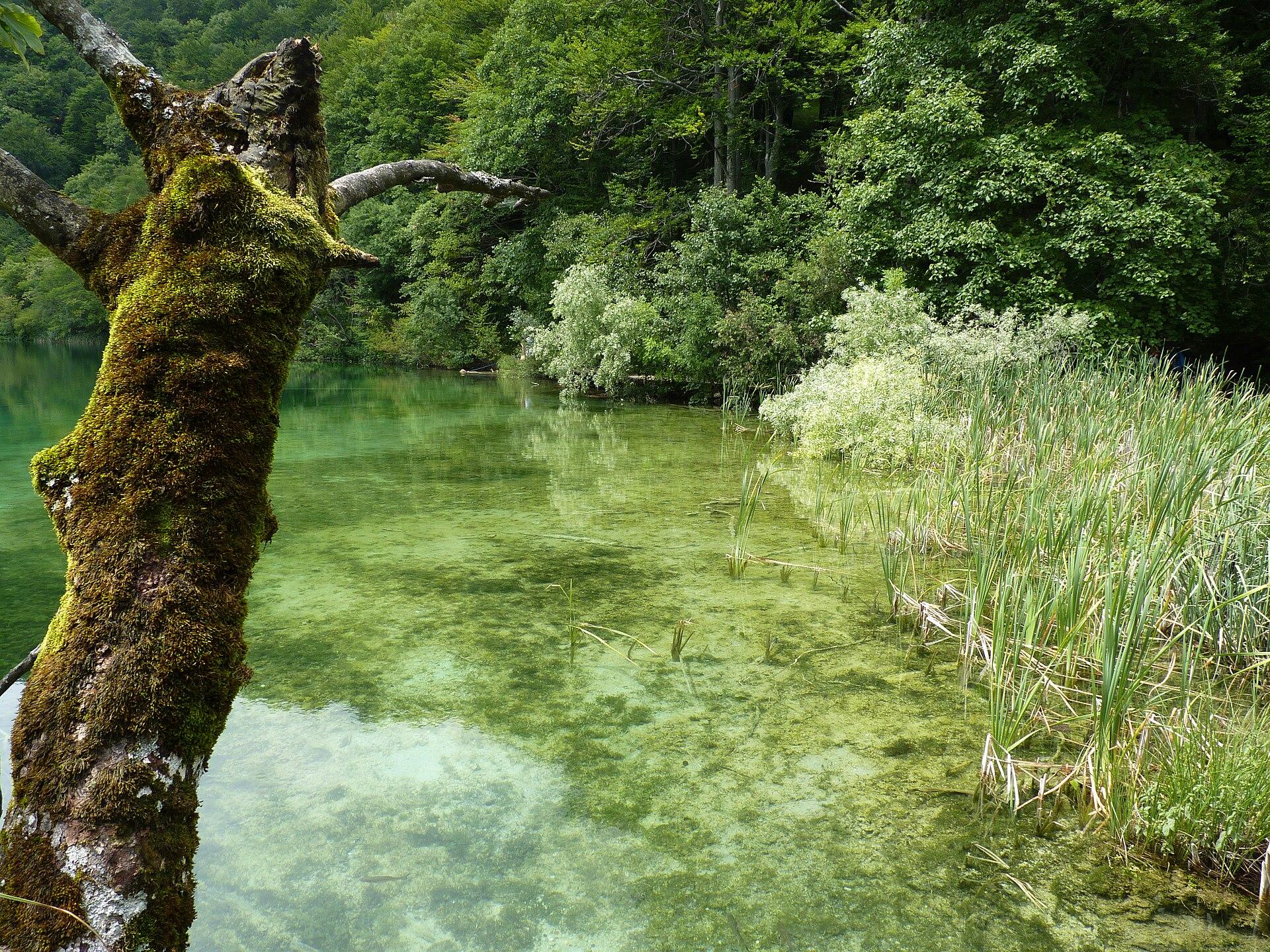 Plitvice Lakes jigsaw puzzle preview