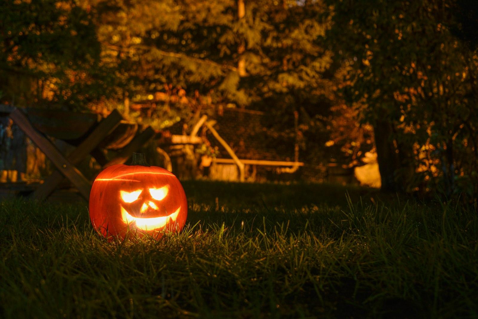 Pumpkin In Night Garden jigsaw puzzle preview
