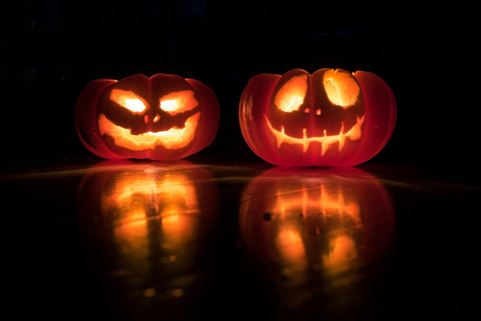 Pumpkin Twins jigsaw puzzle preview