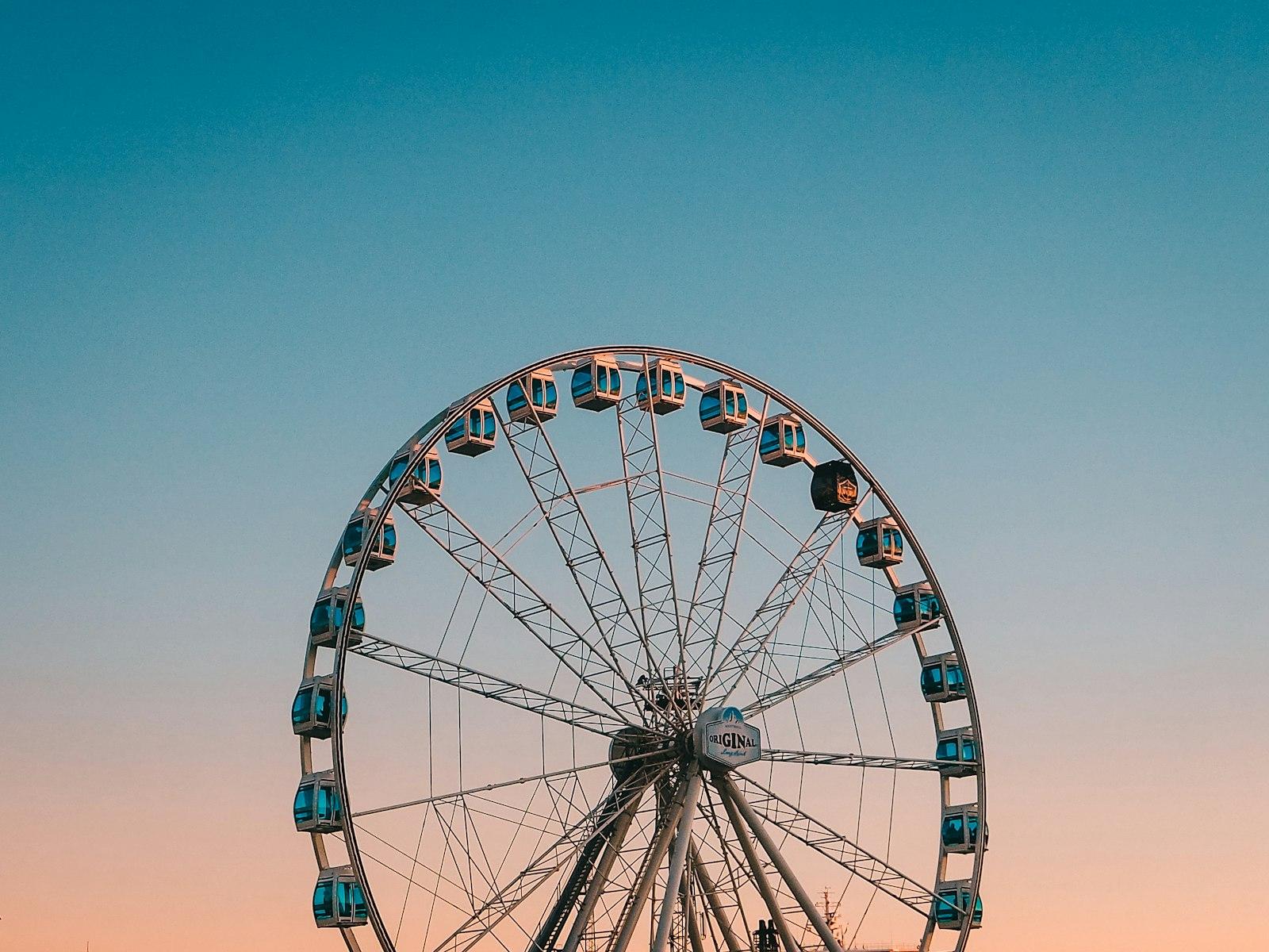 Quick Snap Of The SkyWheel, A Permanent Ferris Whe jigsaw puzzle preview