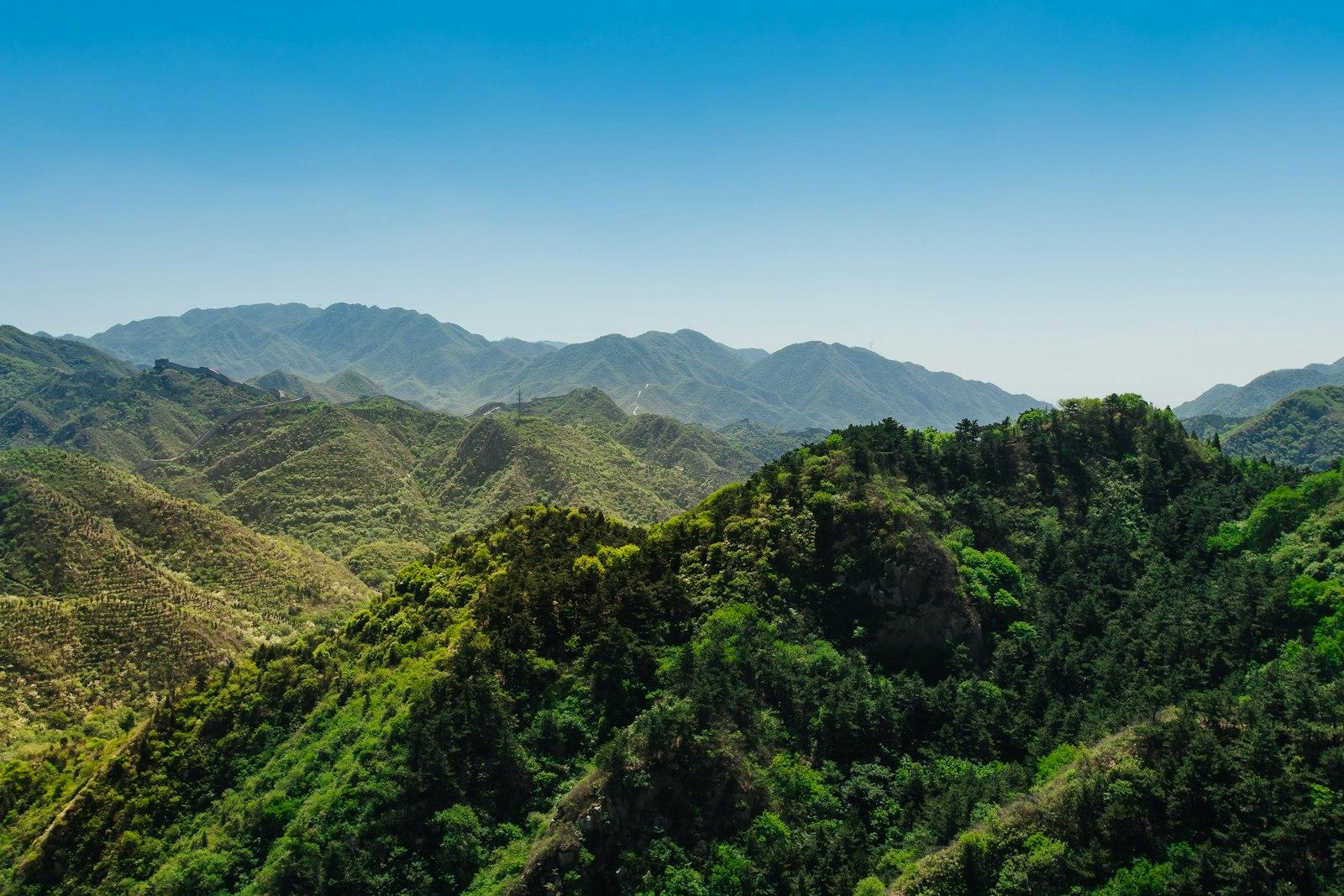 Rainforest Mountains jigsaw puzzle preview