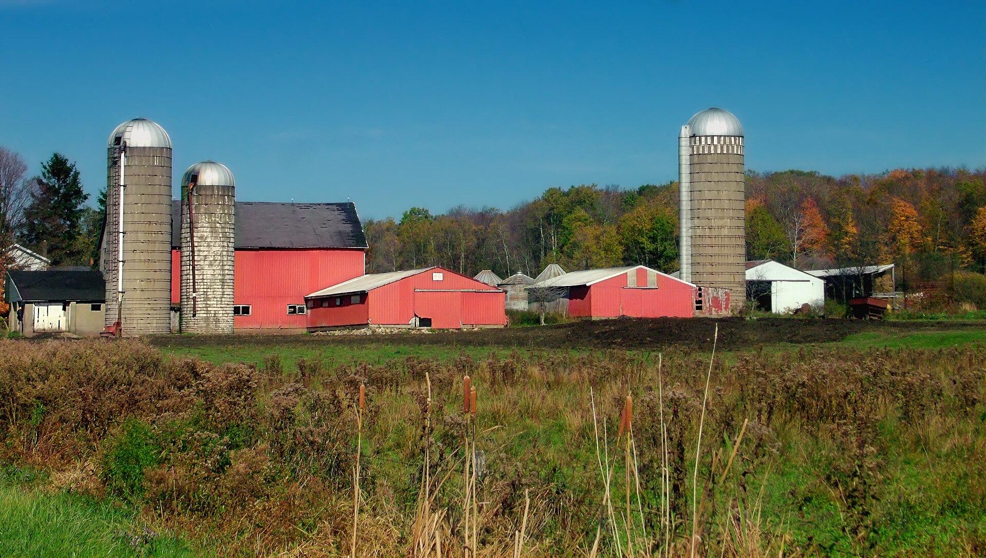 Red Barn in Autumn jigsaw puzzle preview