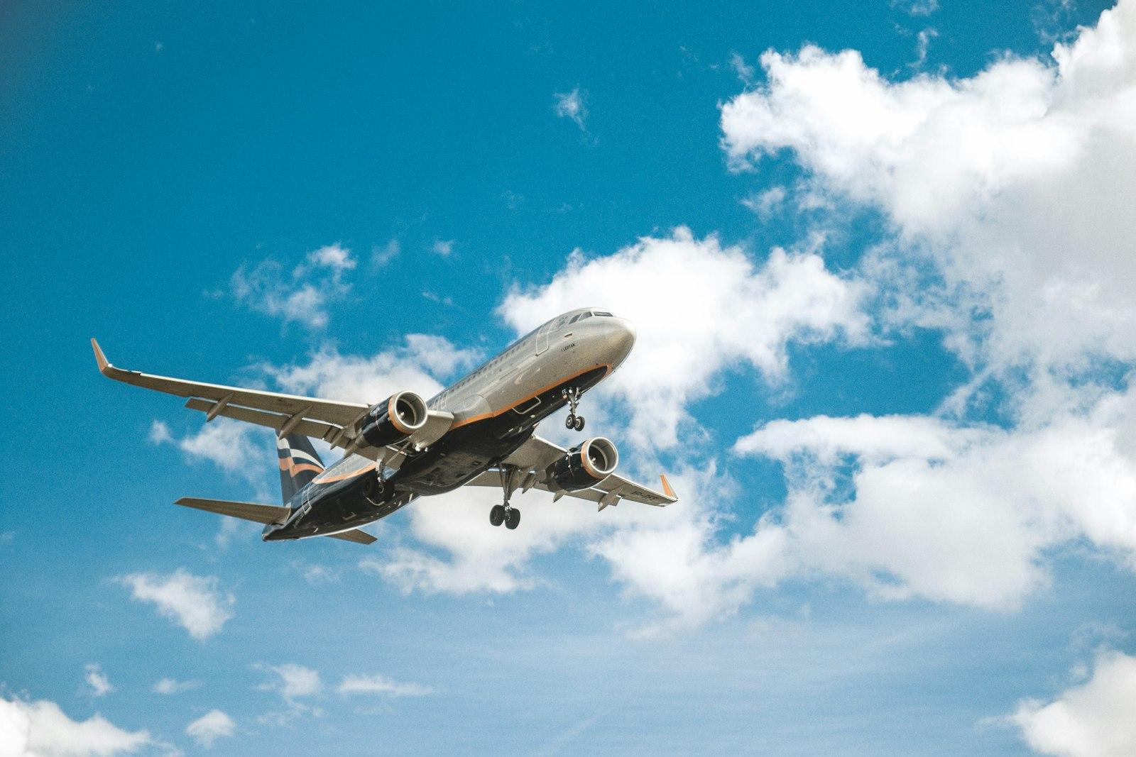 Remove Before Flight 2 jigsaw puzzle preview