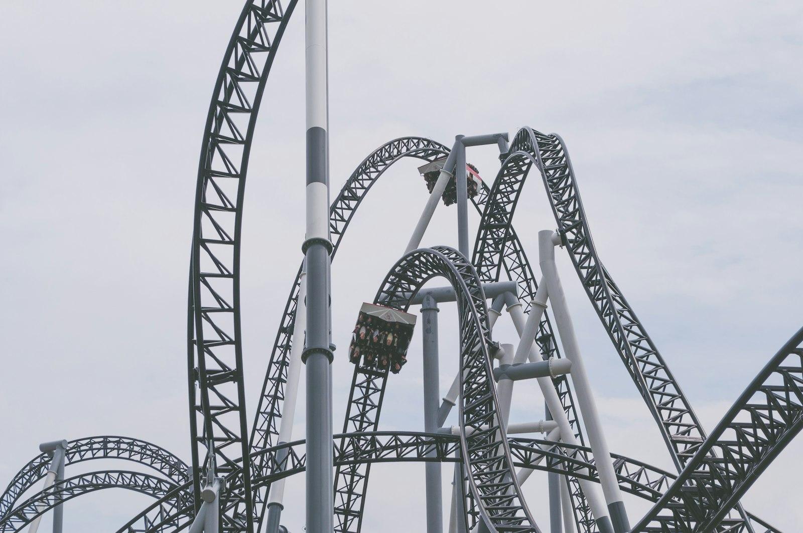 Roller Coaster In A Park jigsaw puzzle preview