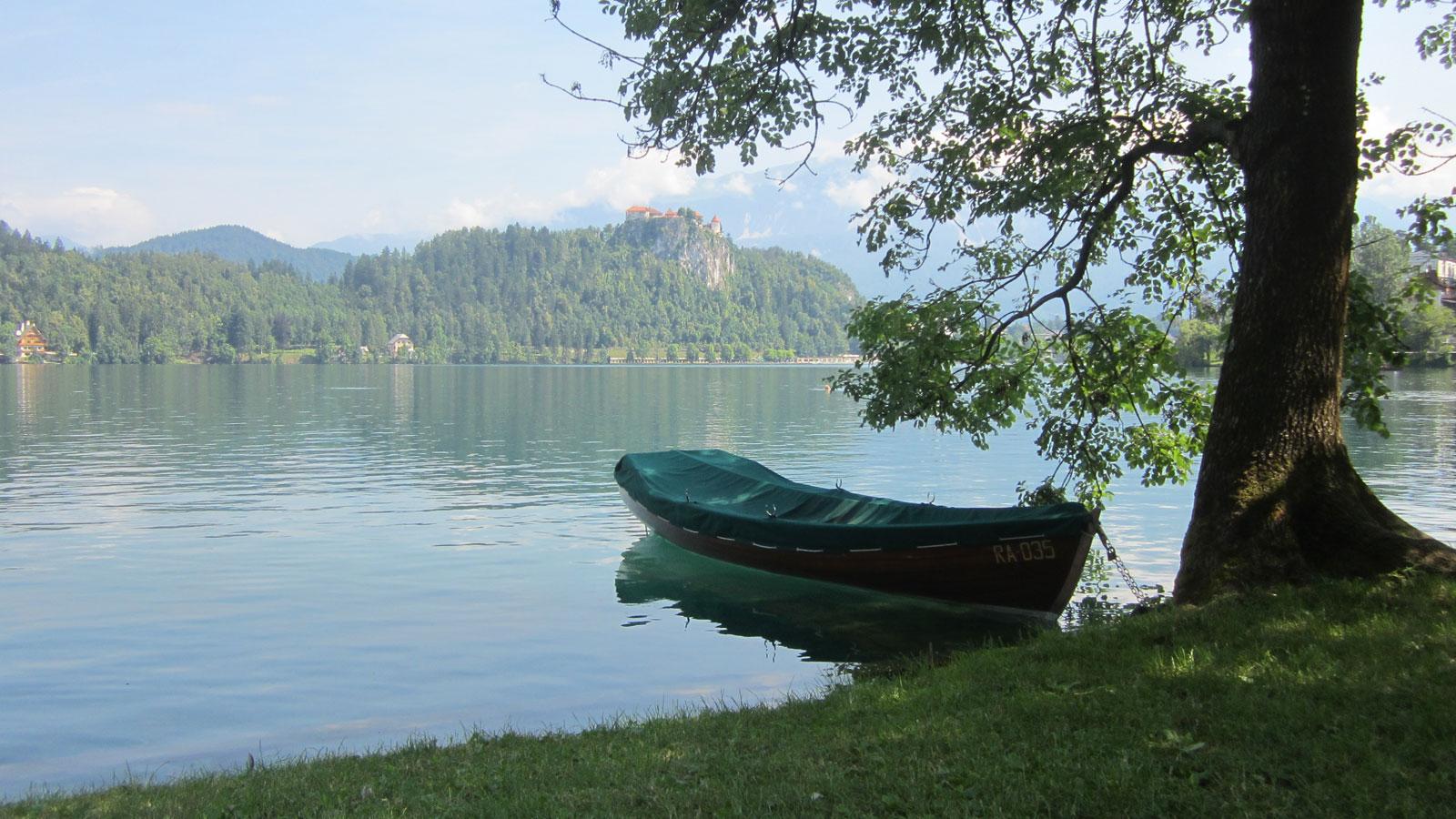 Rowing Boat on a Lake jigsaw puzzle preview