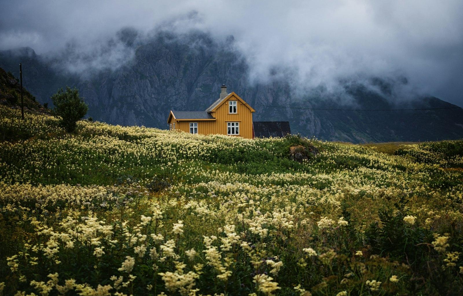 Rural Life jigsaw puzzle preview