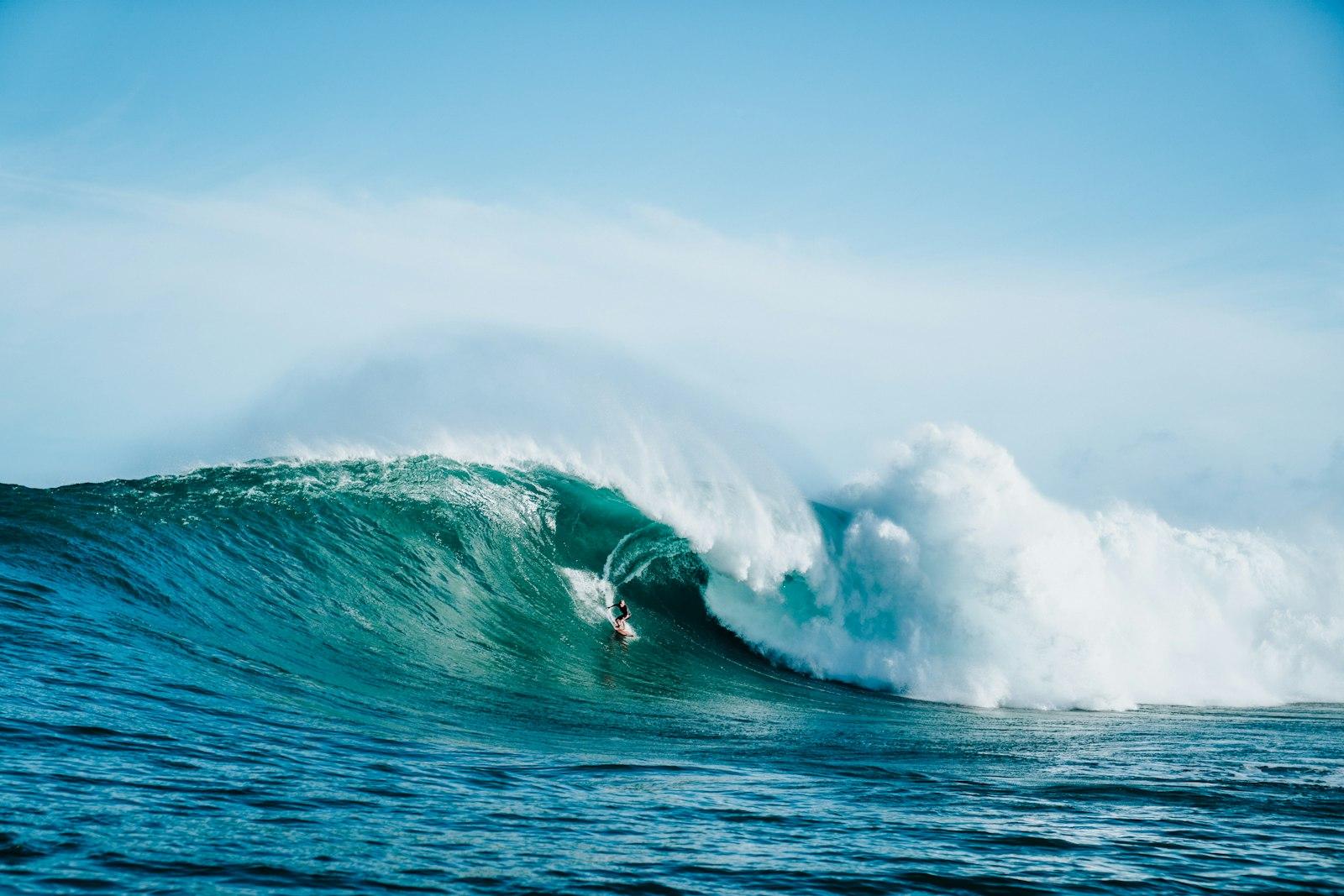 Russell Bierke Surfs Jaws 2018 jigsaw puzzle preview