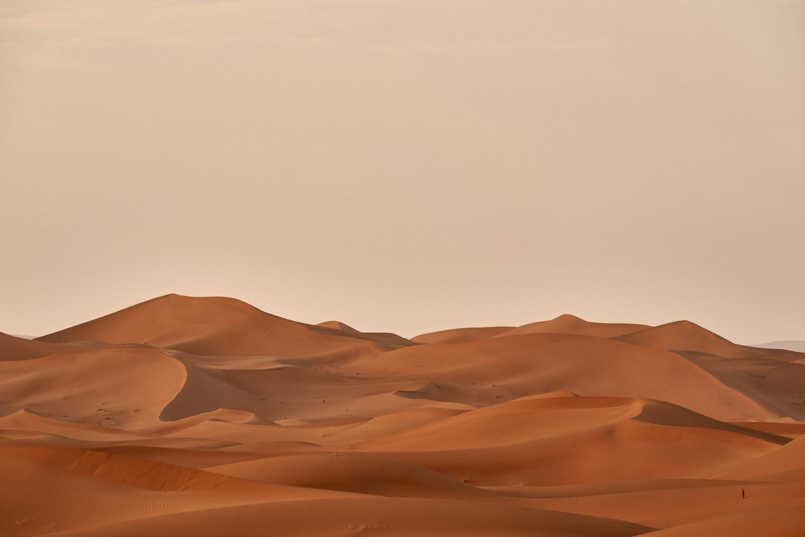 The Sahara jigsaw puzzle preview