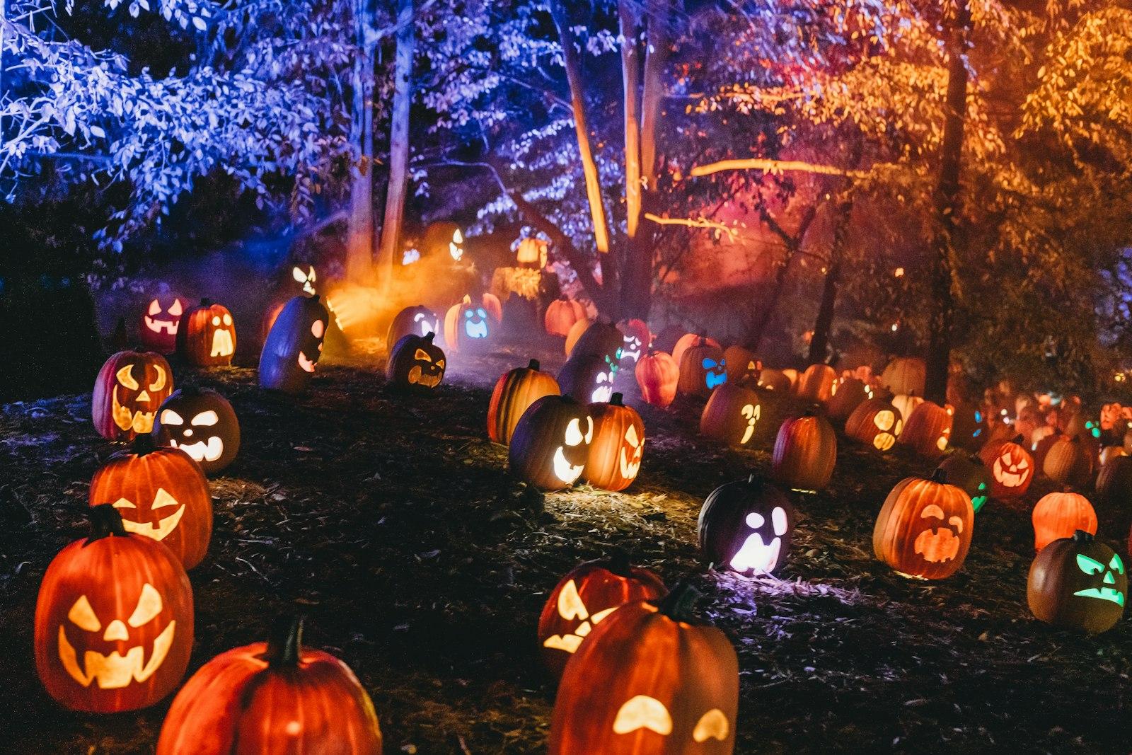 Scary Pumpkin Patch Lit Up At Night jigsaw puzzle preview