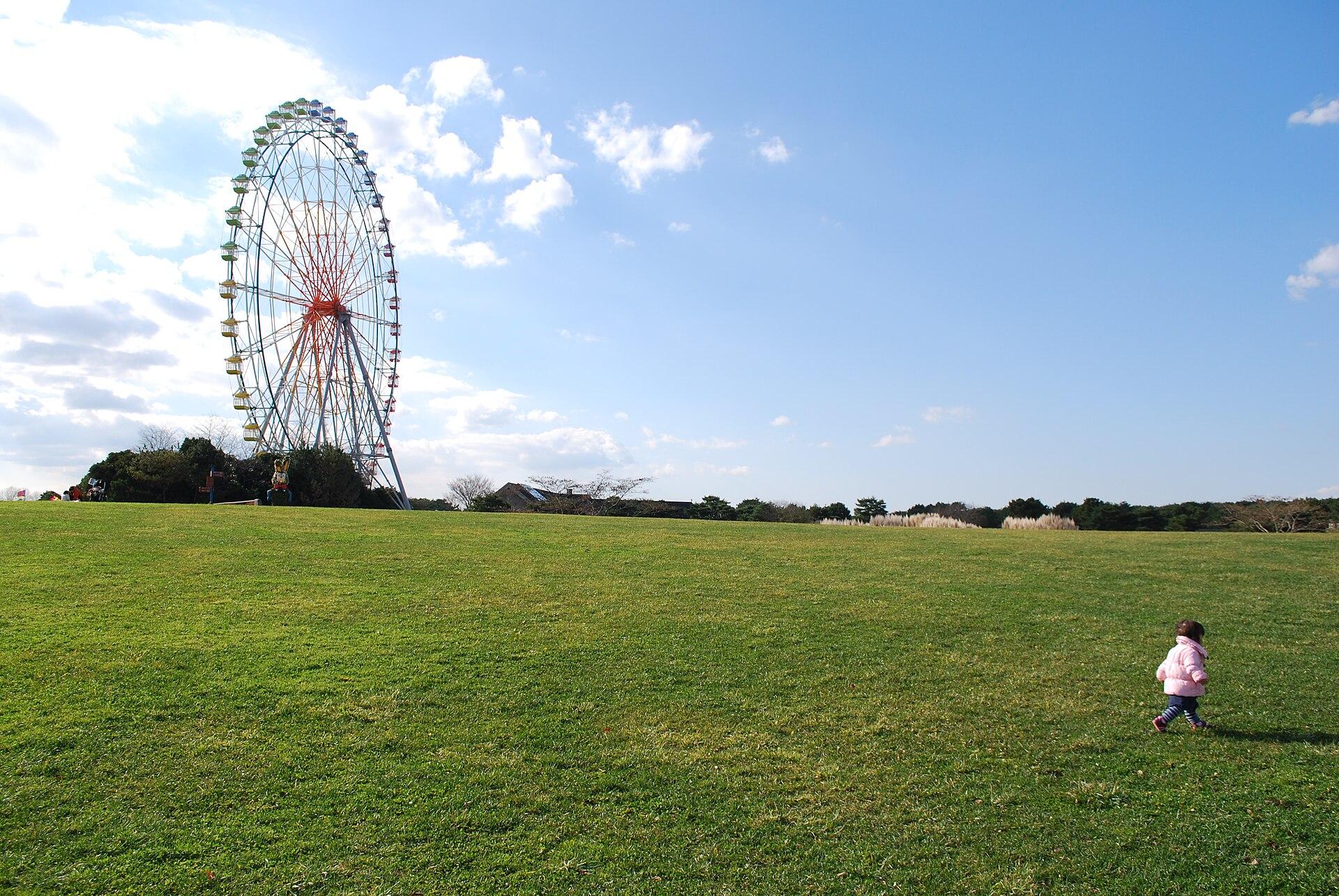 Seaside Ferris Wheel jigsaw puzzle preview