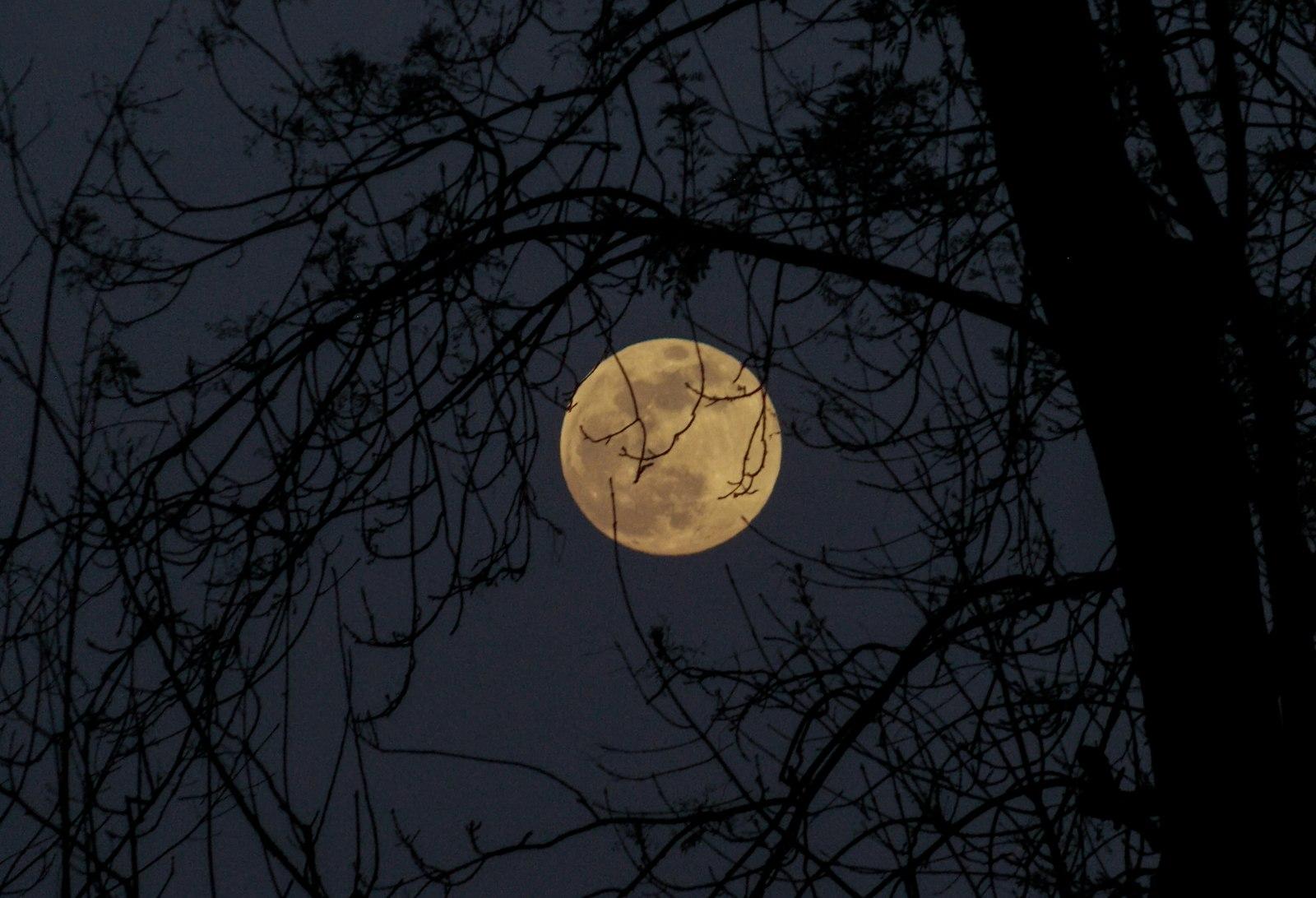 Selective Color Photography Of Full Moon jigsaw puzzle preview