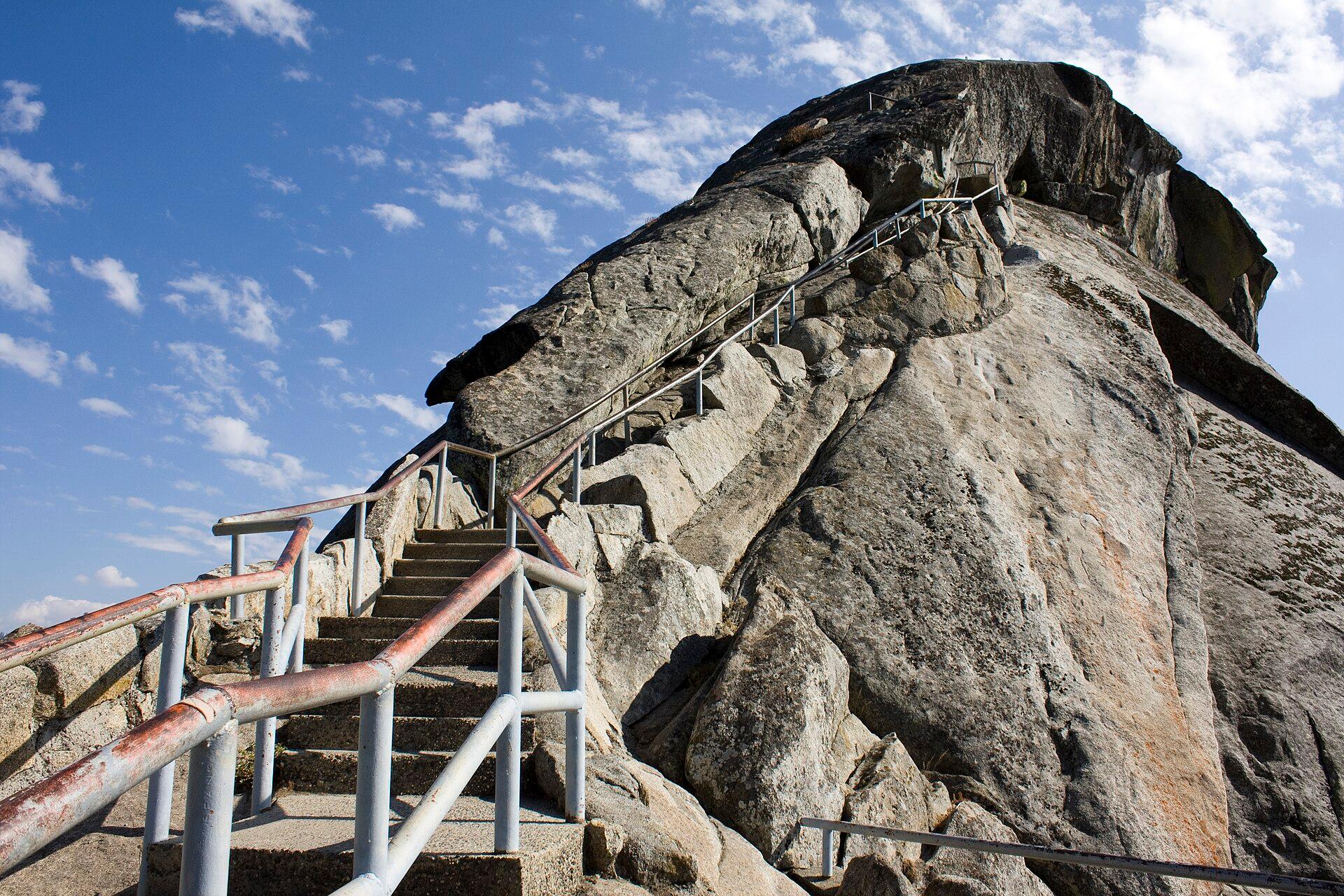 Sequoia Trail jigsaw puzzle preview