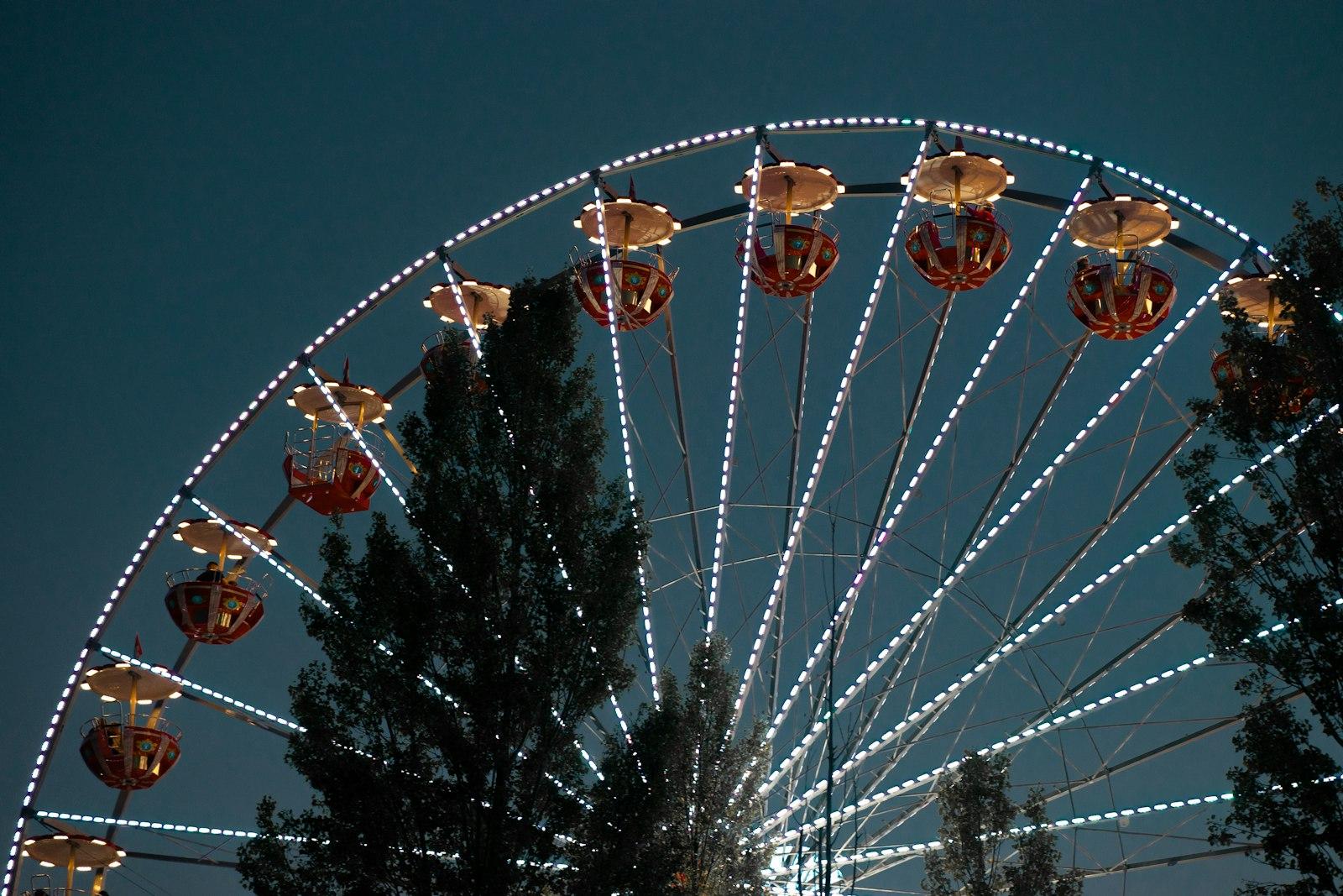 Shot Of A Ferris Wheel During A Lake Cruise On Lak jigsaw puzzle preview