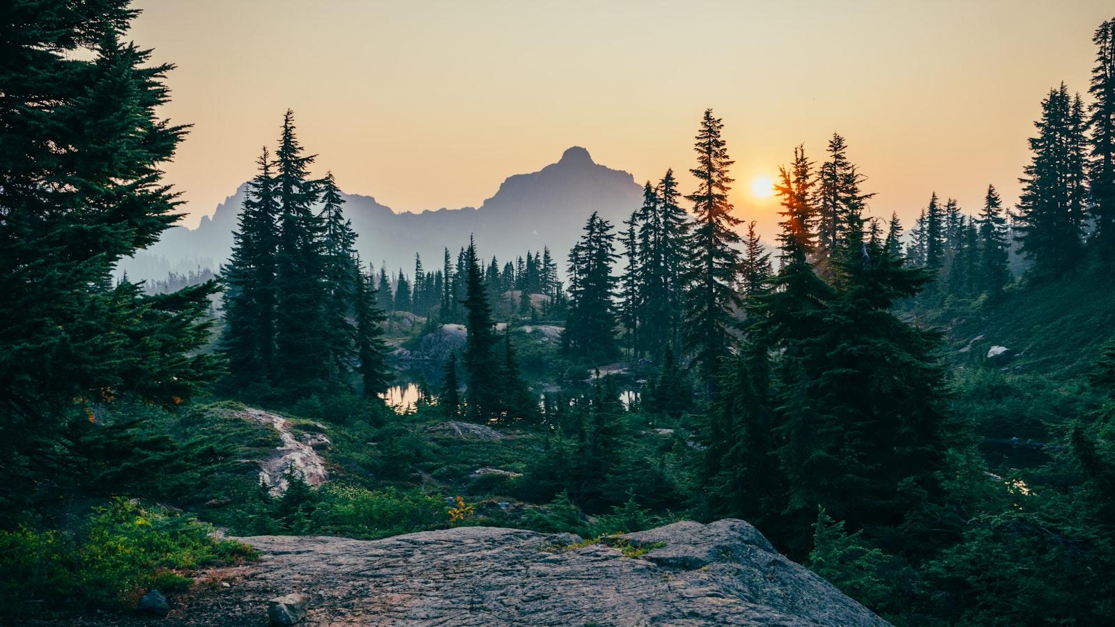 Smoky Morning In Cascades jigsaw puzzle preview