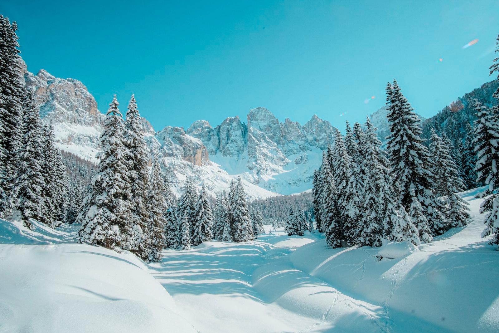 Snow Covered Pine Trees And Mountains During Dayti jigsaw puzzle preview