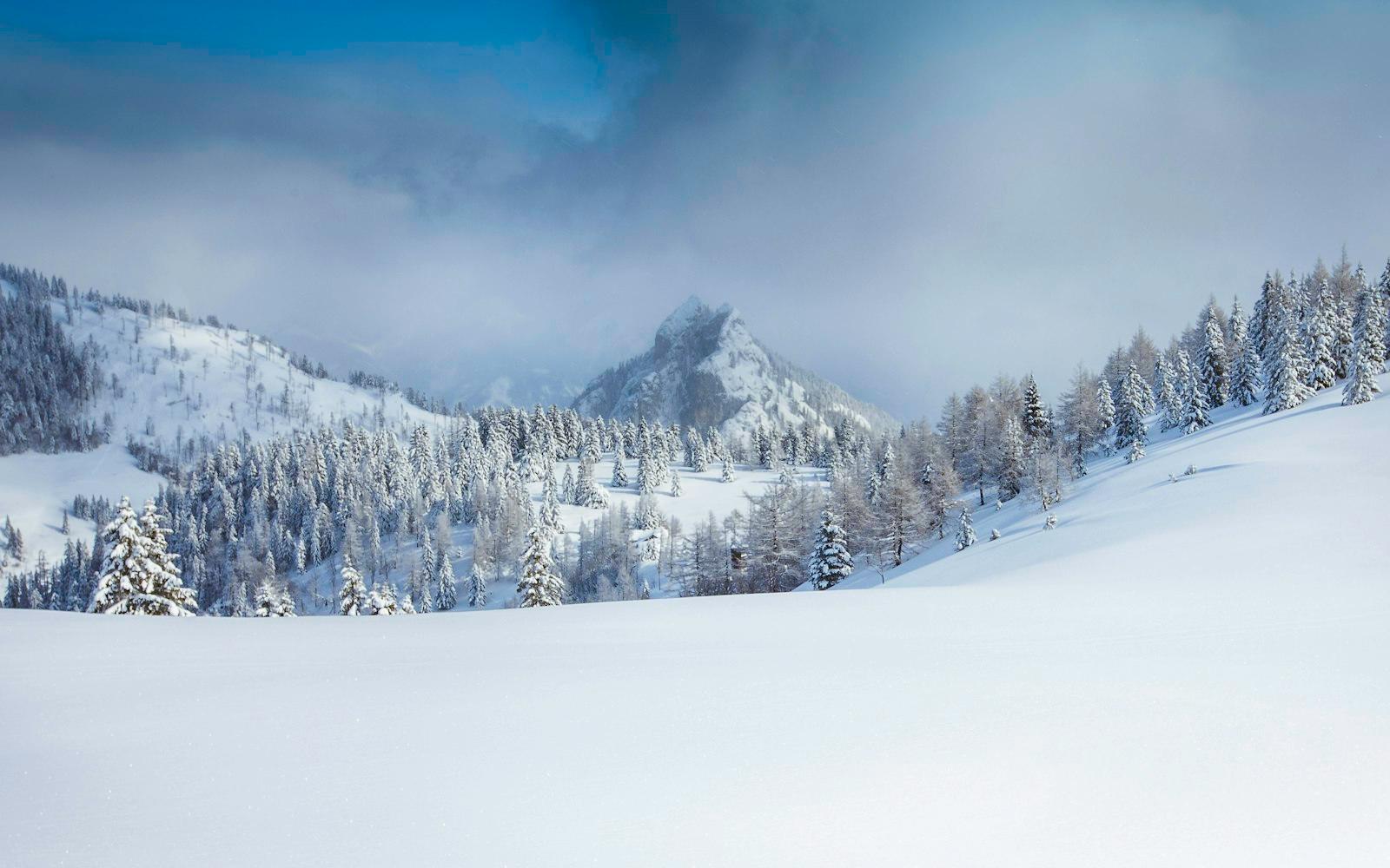 Snowscape jigsaw puzzle preview