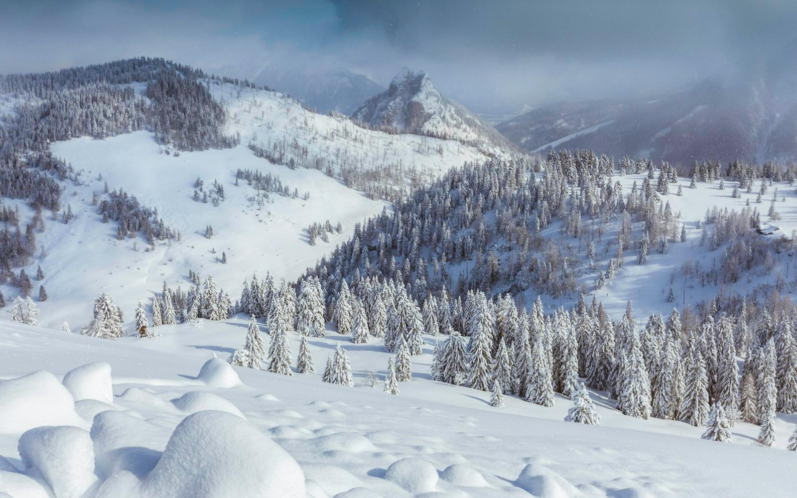 Snowscape jigsaw puzzle preview