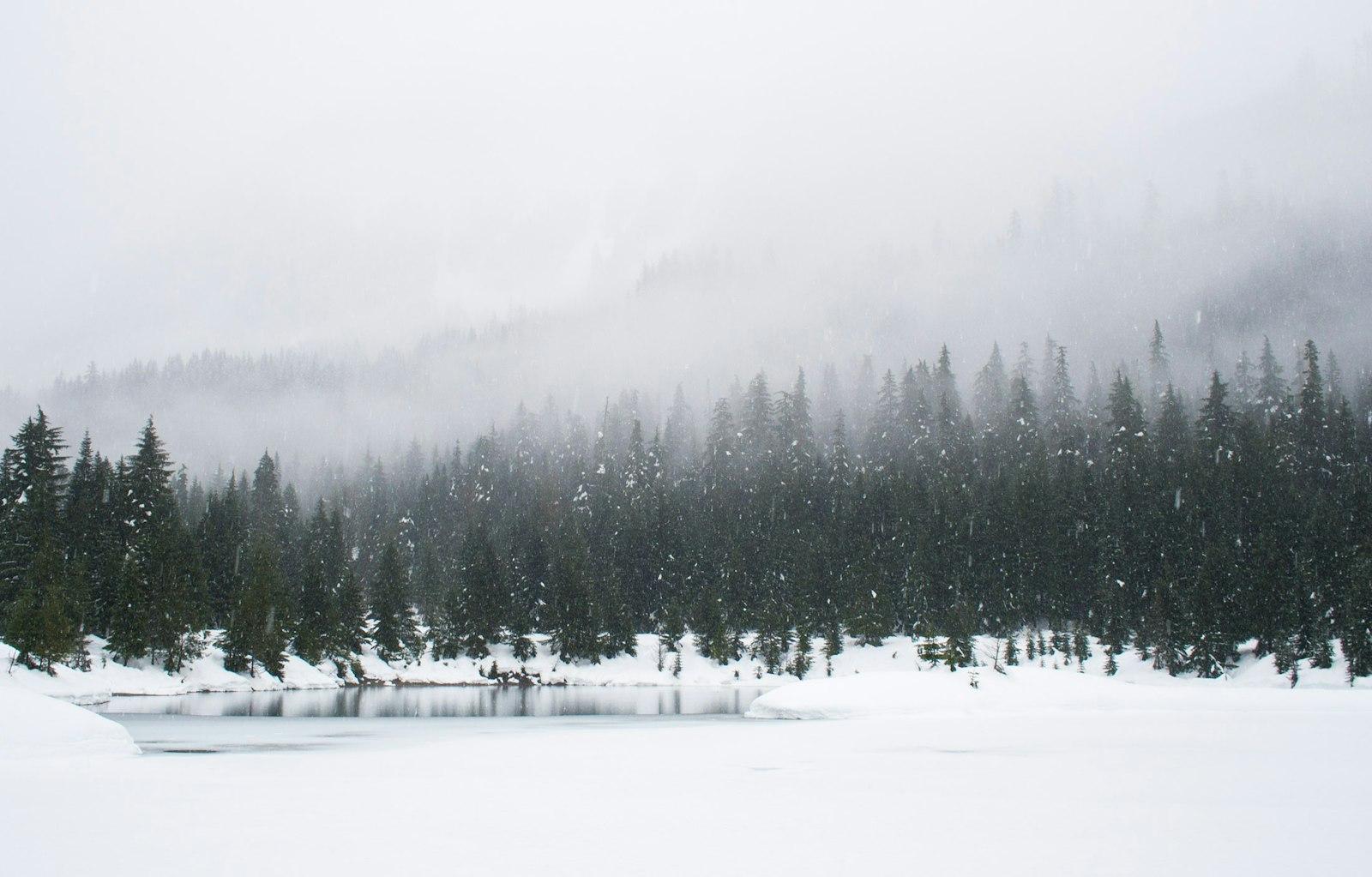 Snowshoeing On A Snowy Day At Gold Creek Pond jigsaw puzzle preview