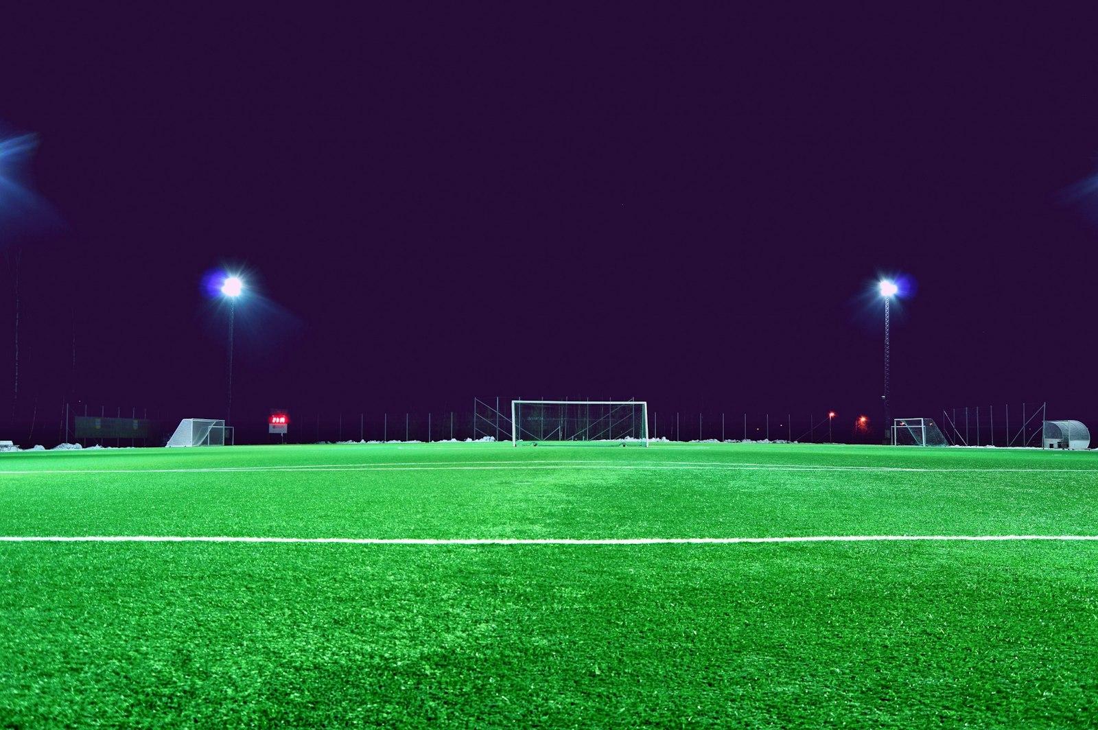 Soccer Field jigsaw puzzle preview