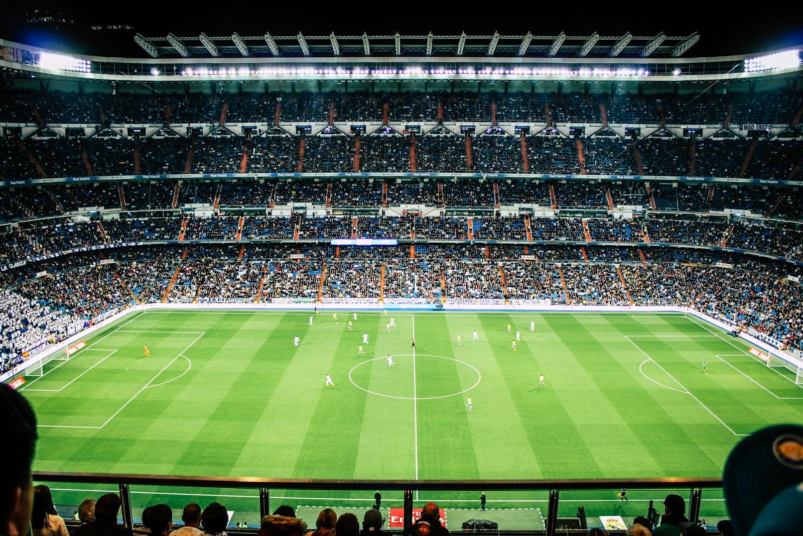 Soccer Field jigsaw puzzle preview