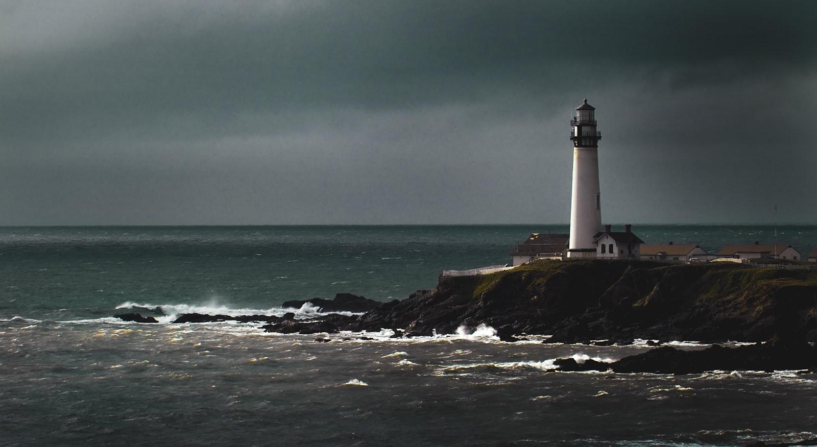 Somewhere Along The Lonely Pacific Coast Of Califo jigsaw puzzle preview