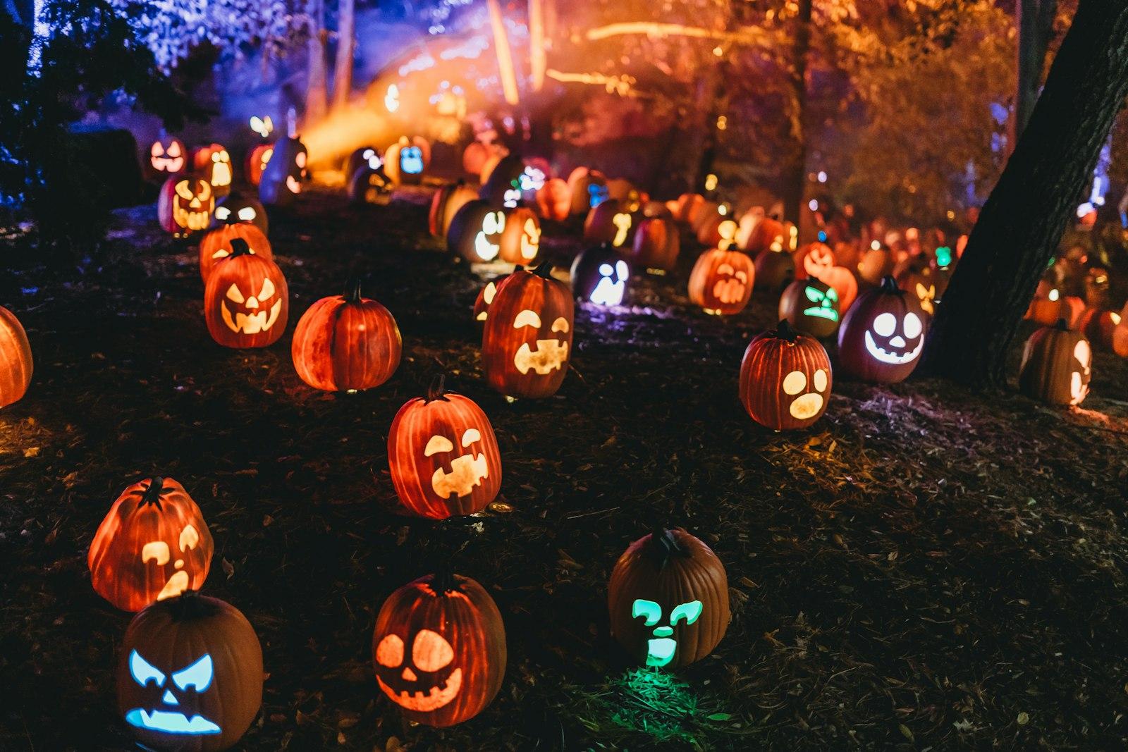 Spooky Jack O Lantern Pumpkin Patch jigsaw puzzle preview