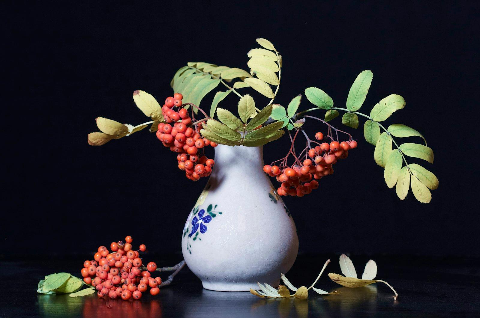 Still Life Red Mountain Ash In A Vase On The Table jigsaw puzzle preview
