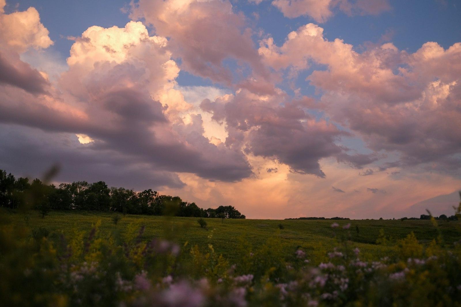 Sunset! jigsaw puzzle preview