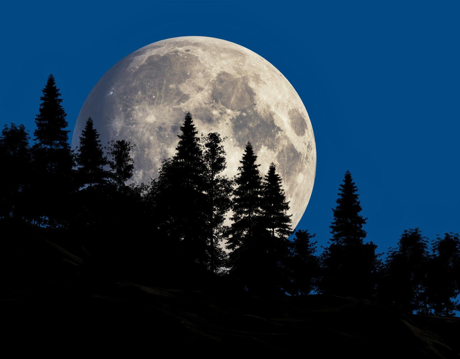 Super Moon Over The Forest jigsaw puzzle preview