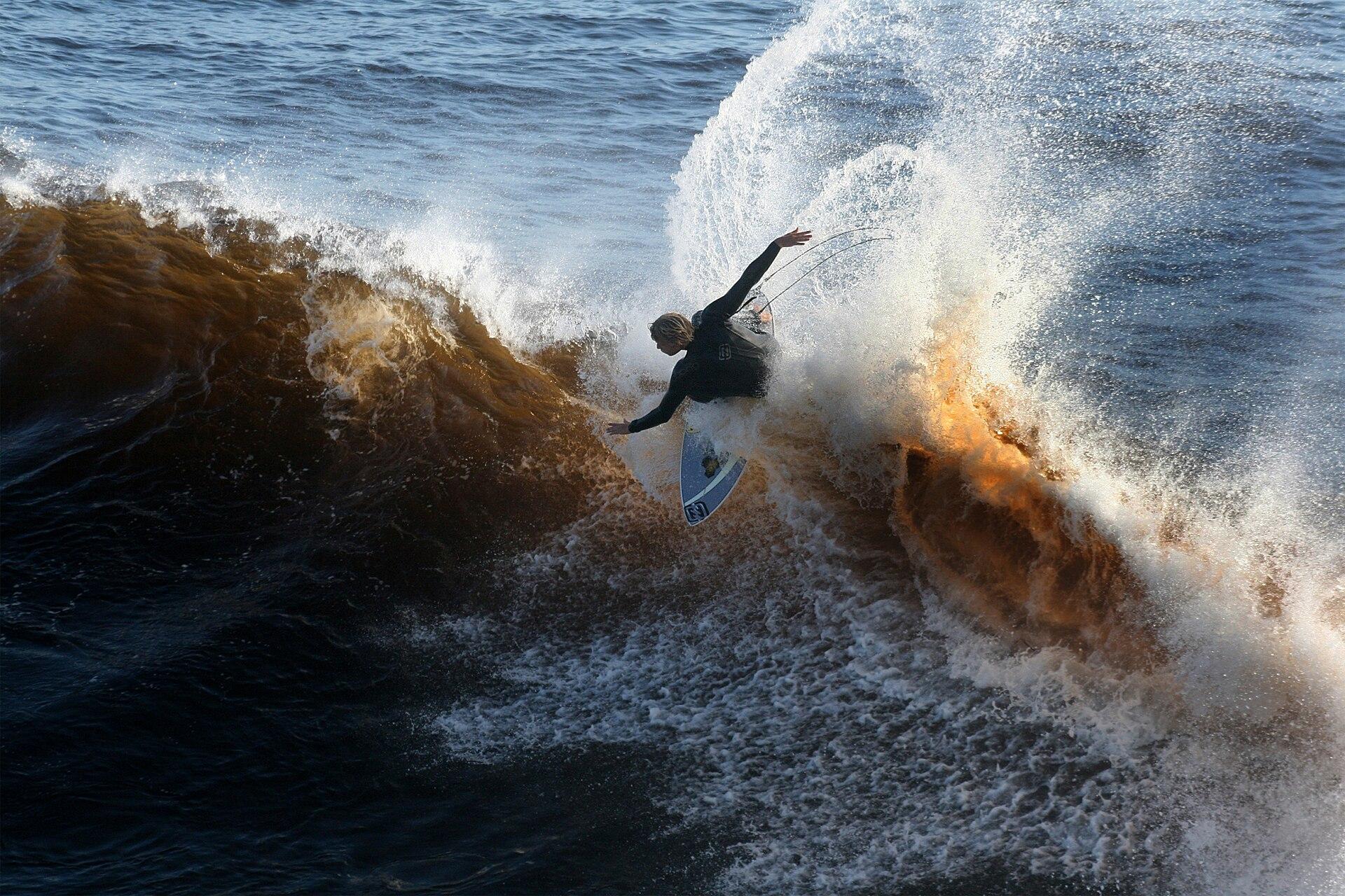Surfer on a Wave jigsaw puzzle preview