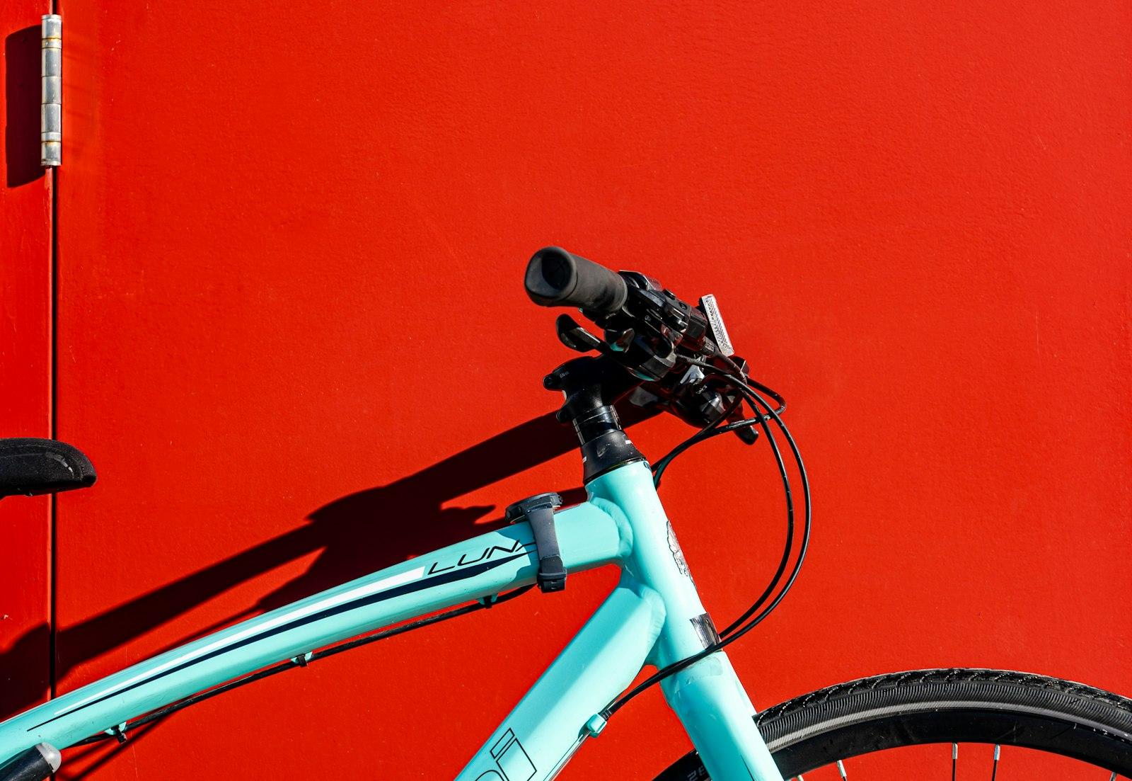 Teal (Bianchi) Bicycle Against A Bright Red Door jigsaw puzzle preview