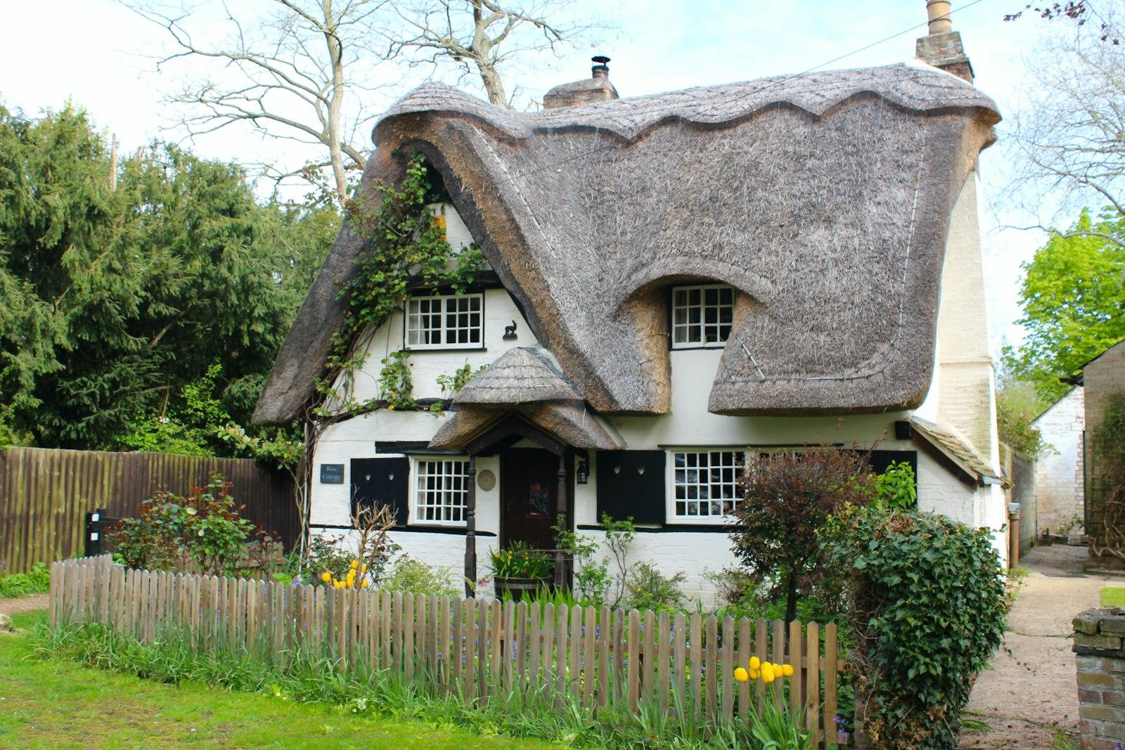 Thatched Cottage jigsaw puzzle preview