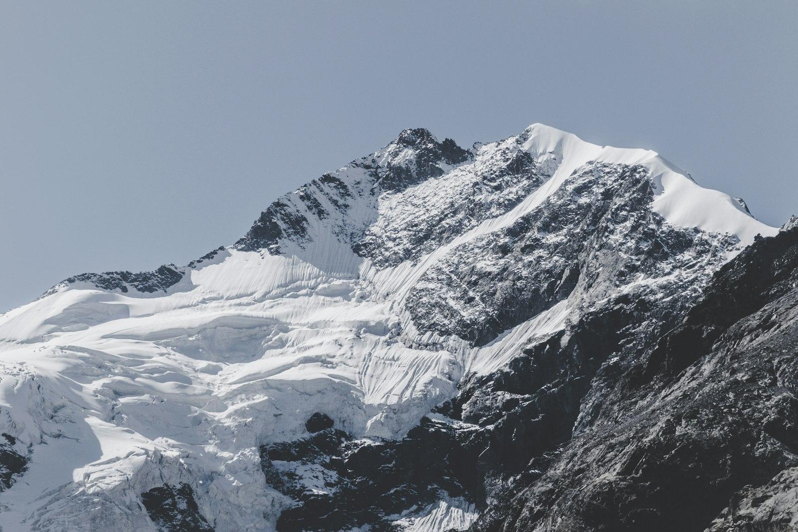 The Majestic Piz Bernina jigsaw puzzle preview