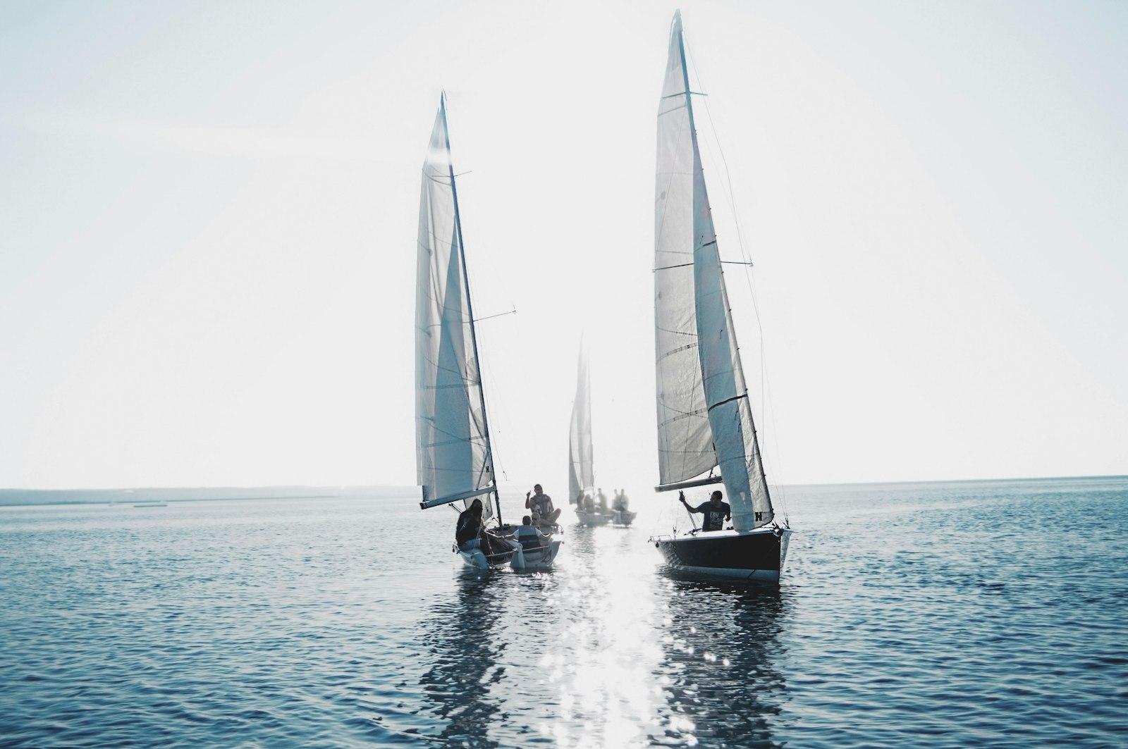 The Sailing My Instagram: @Alexandralazarescu Plea jigsaw puzzle preview