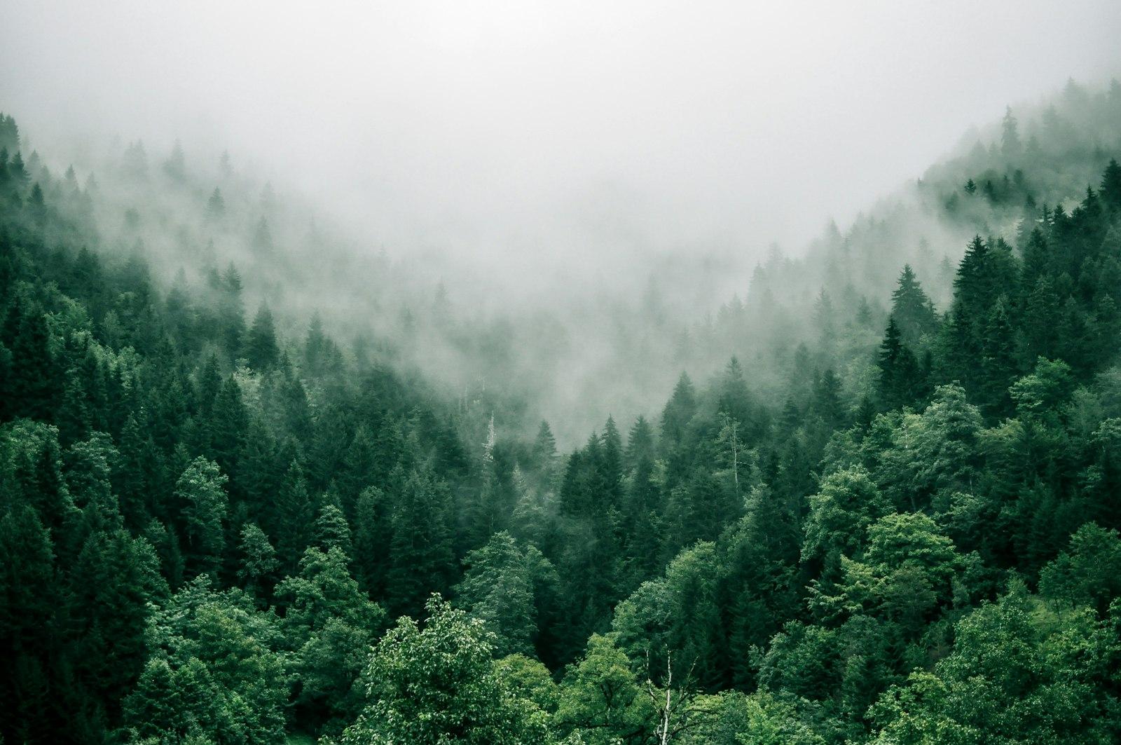 This Photo Was Taken In The High Mountains jigsaw puzzle preview