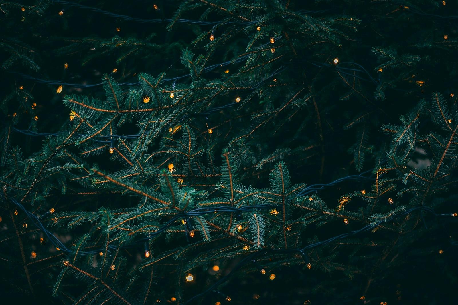 This Shot Was Actually A Test Shot To Get The Expo jigsaw puzzle preview