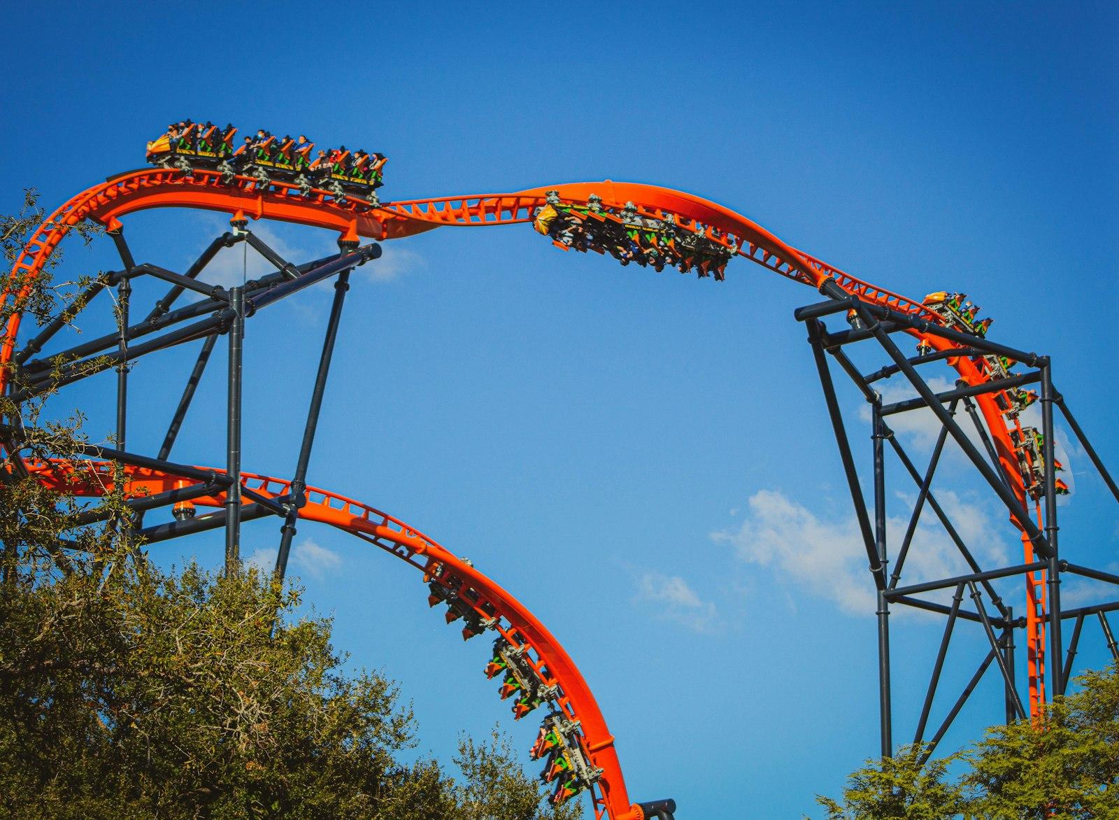 Tigris At Busch Gardens Tampa! - - - If You Enjoy jigsaw puzzle preview
