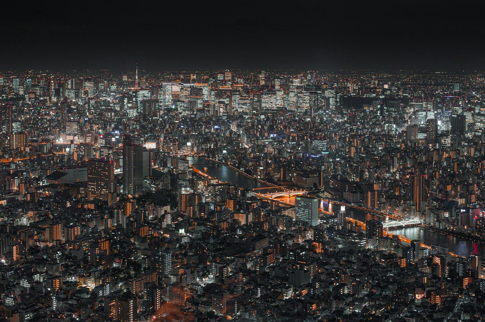 Tokyo Night jigsaw puzzle preview