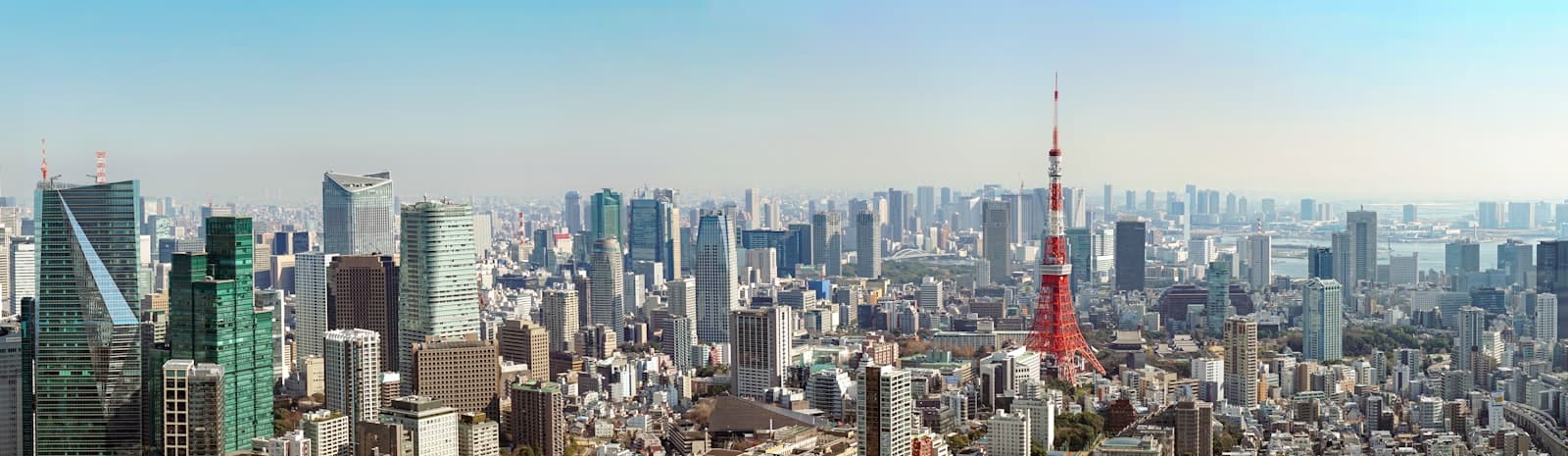 Tokyo Skyline jigsaw puzzle preview