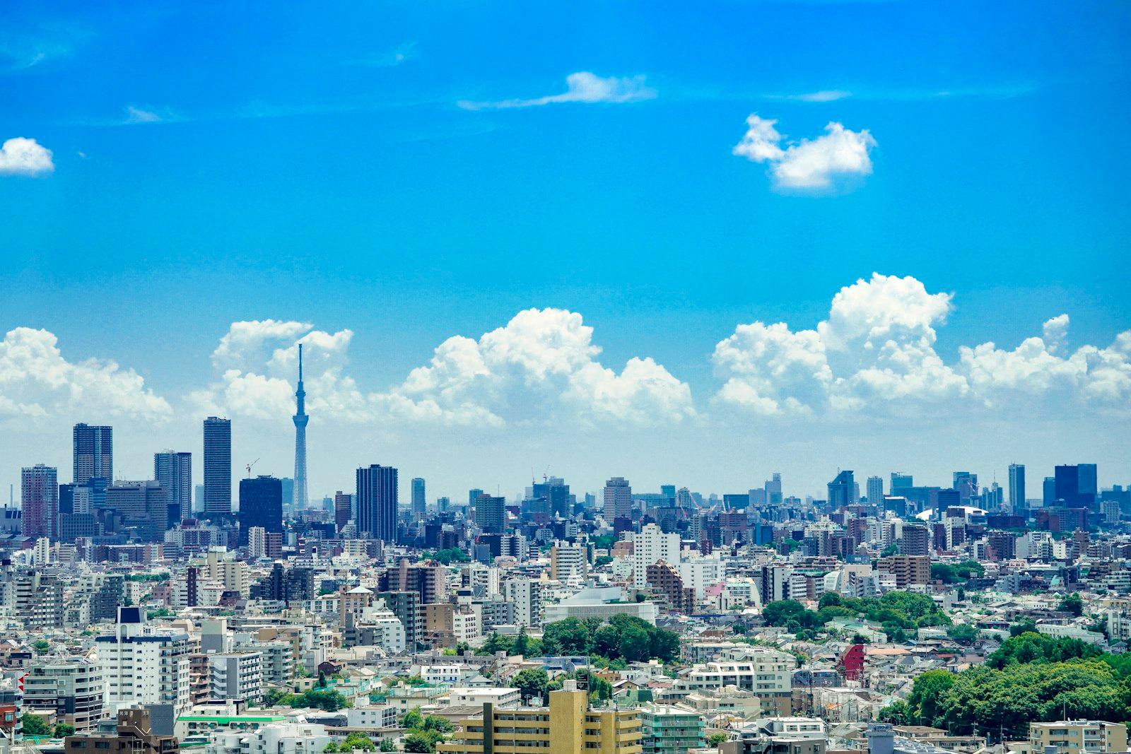 Tokyo Summer jigsaw puzzle preview