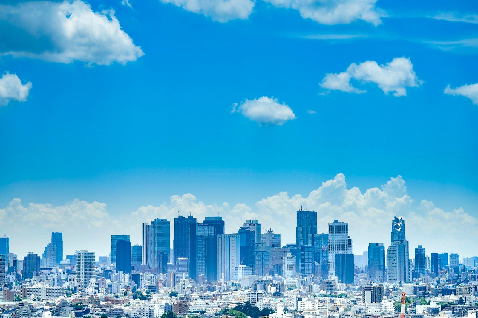 Tokyo Summer jigsaw puzzle preview