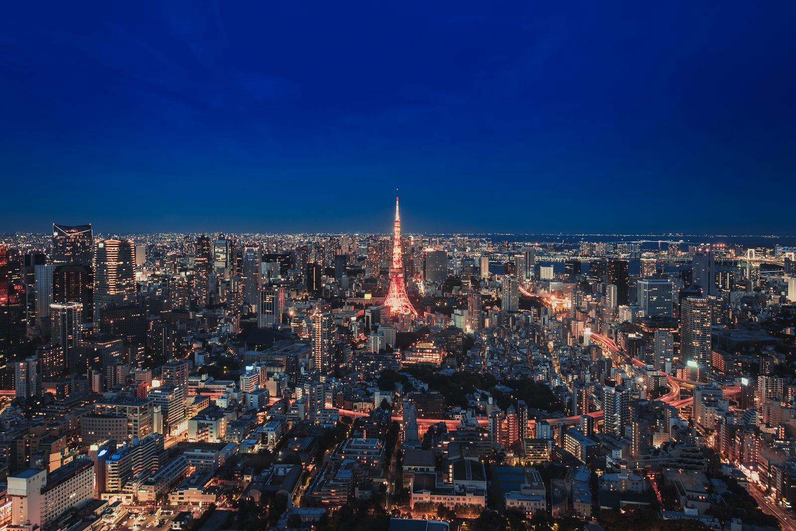 Tokyo Tower From City View jigsaw puzzle preview
